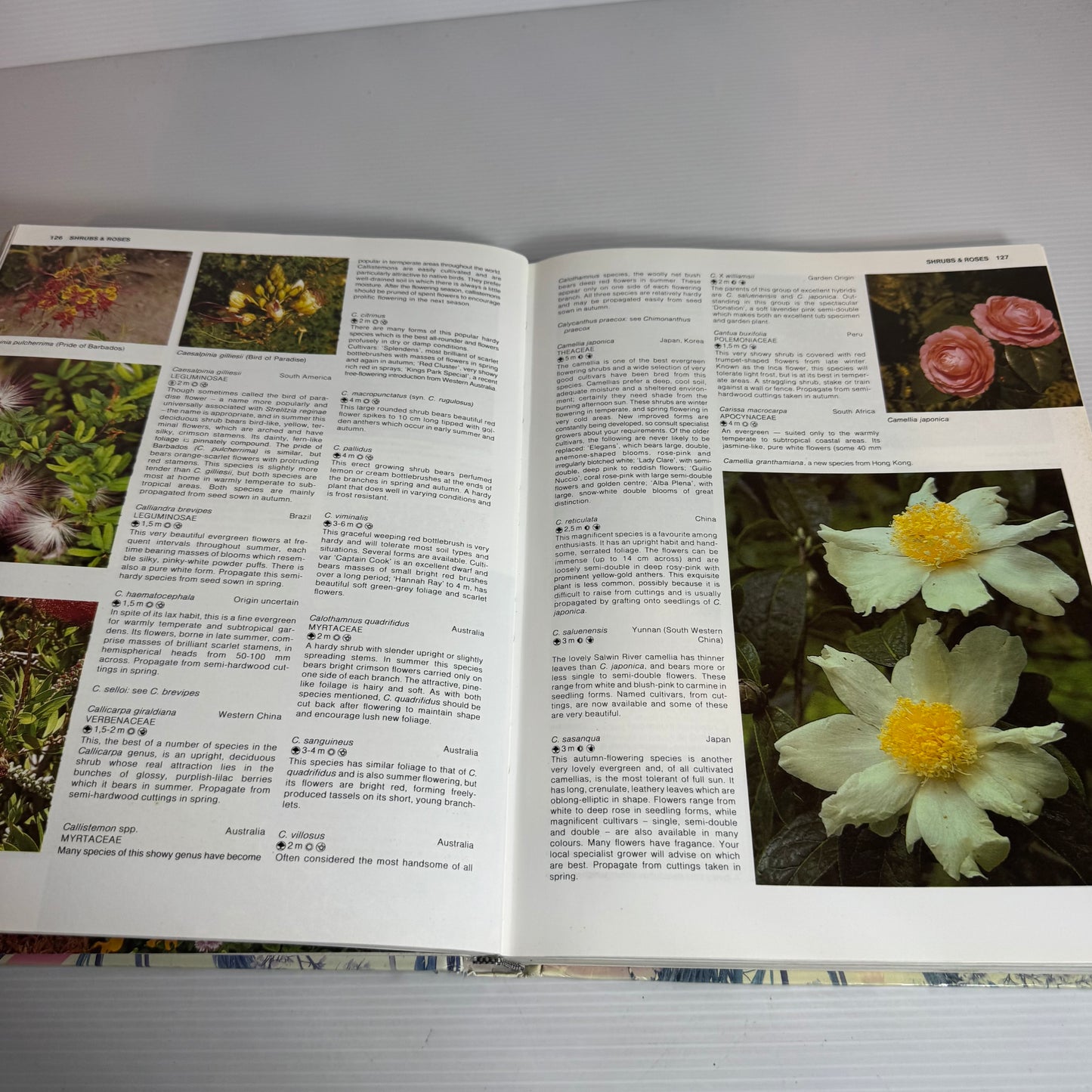 New Zealand Gardening A-Z A Practical Handbook - W.G. Sheat