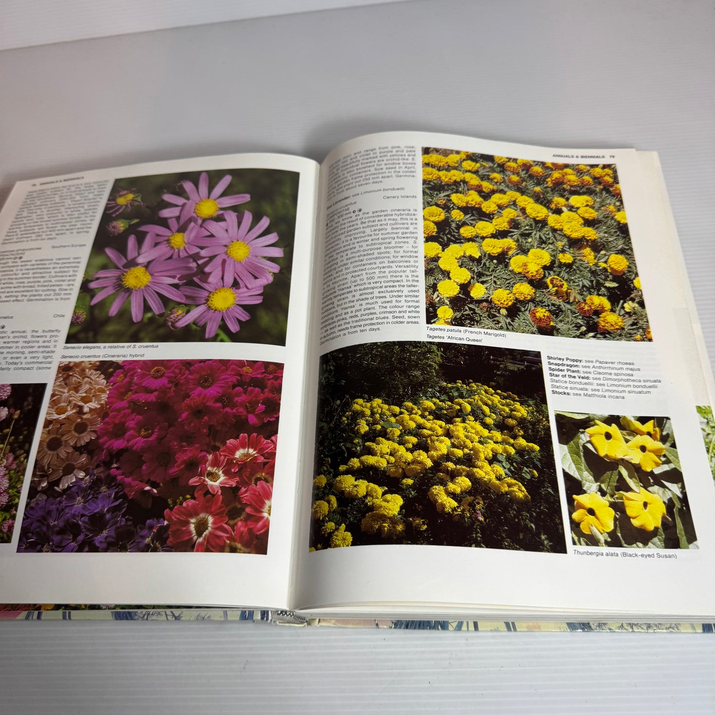 New Zealand Gardening A-Z A Practical Handbook - W.G. Sheat