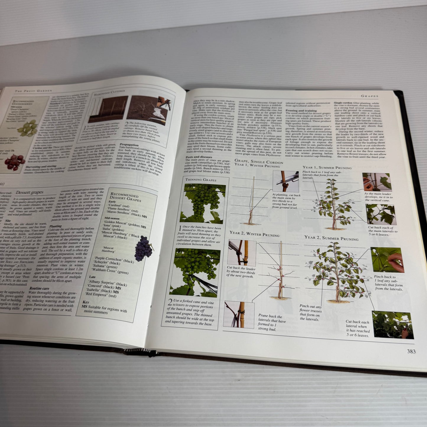 The Reader's Digest Encyclopaedia Of Gardening