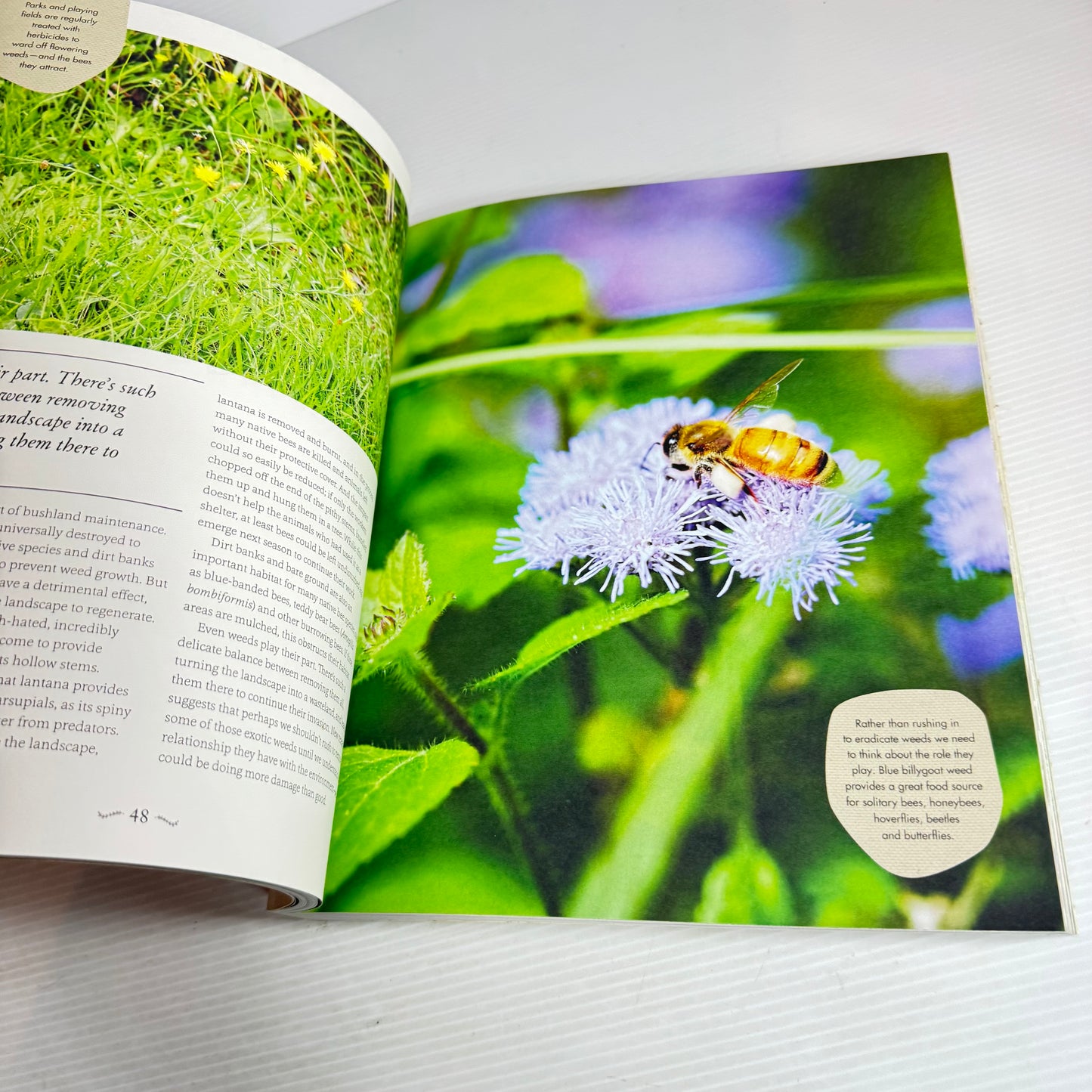 The Bee Friendly Garden - Doug Purdie