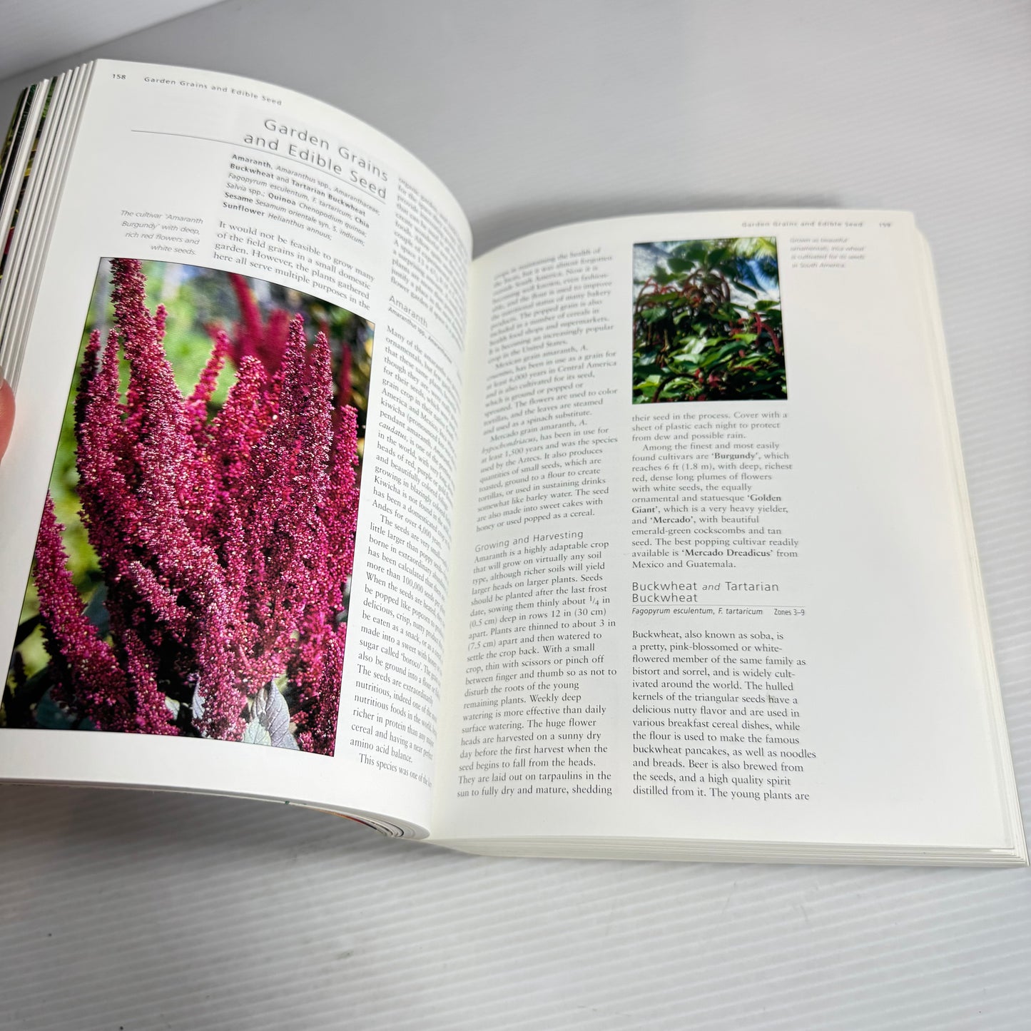 Organic Gardening for New Zealand Gardeners
