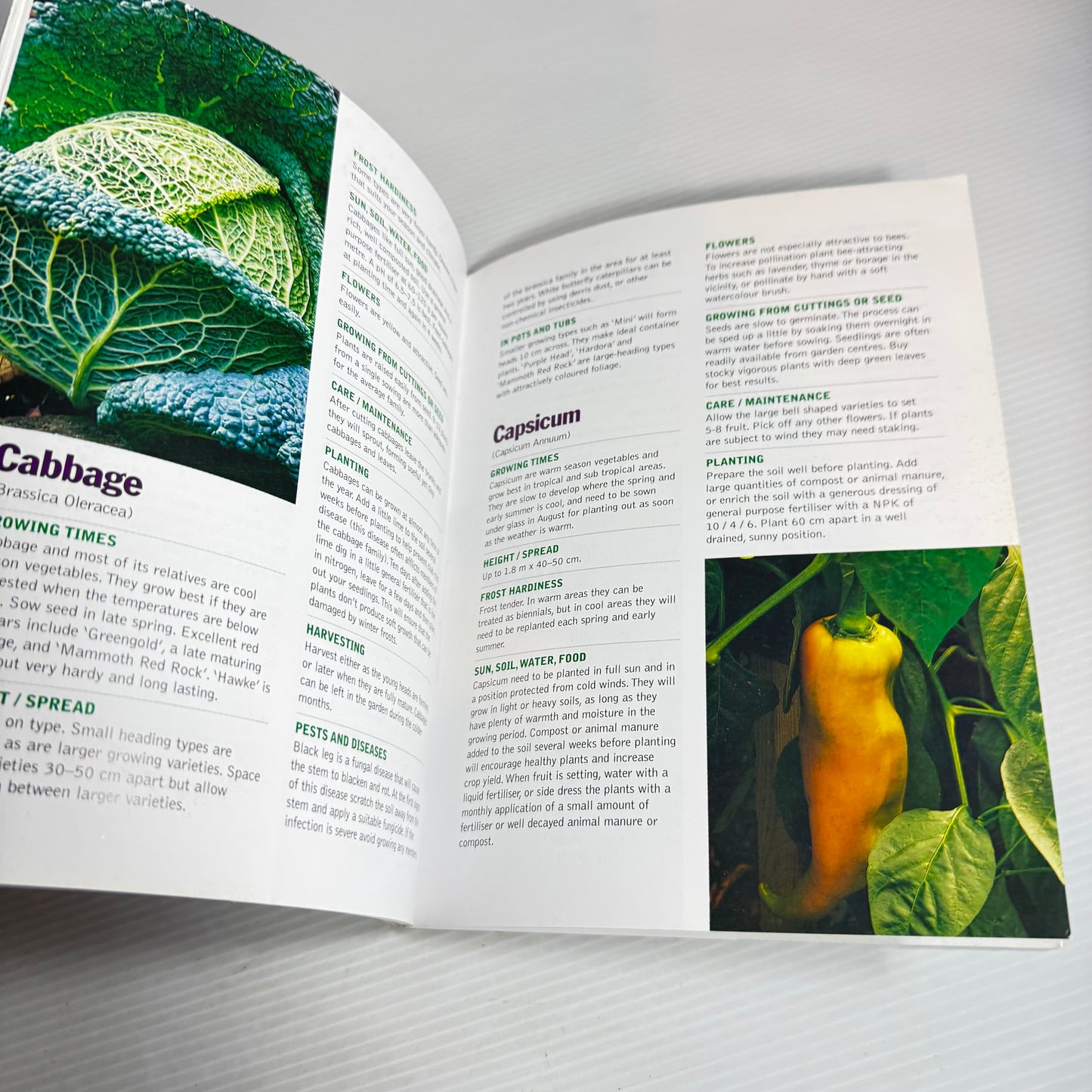 Growing Vegetables Year-Round - Dennis Greville