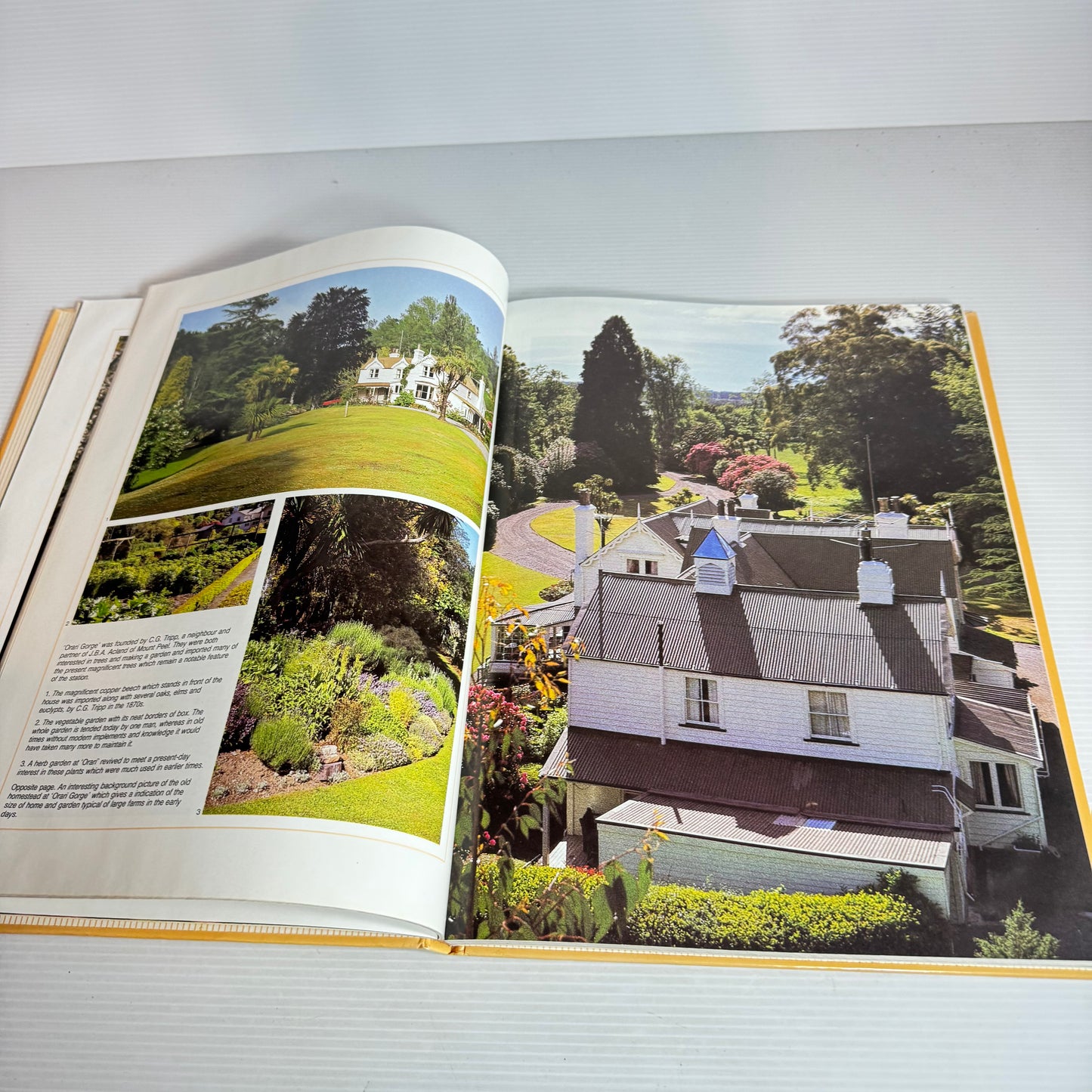 Gardens of New Zealand - Barbara Matthews