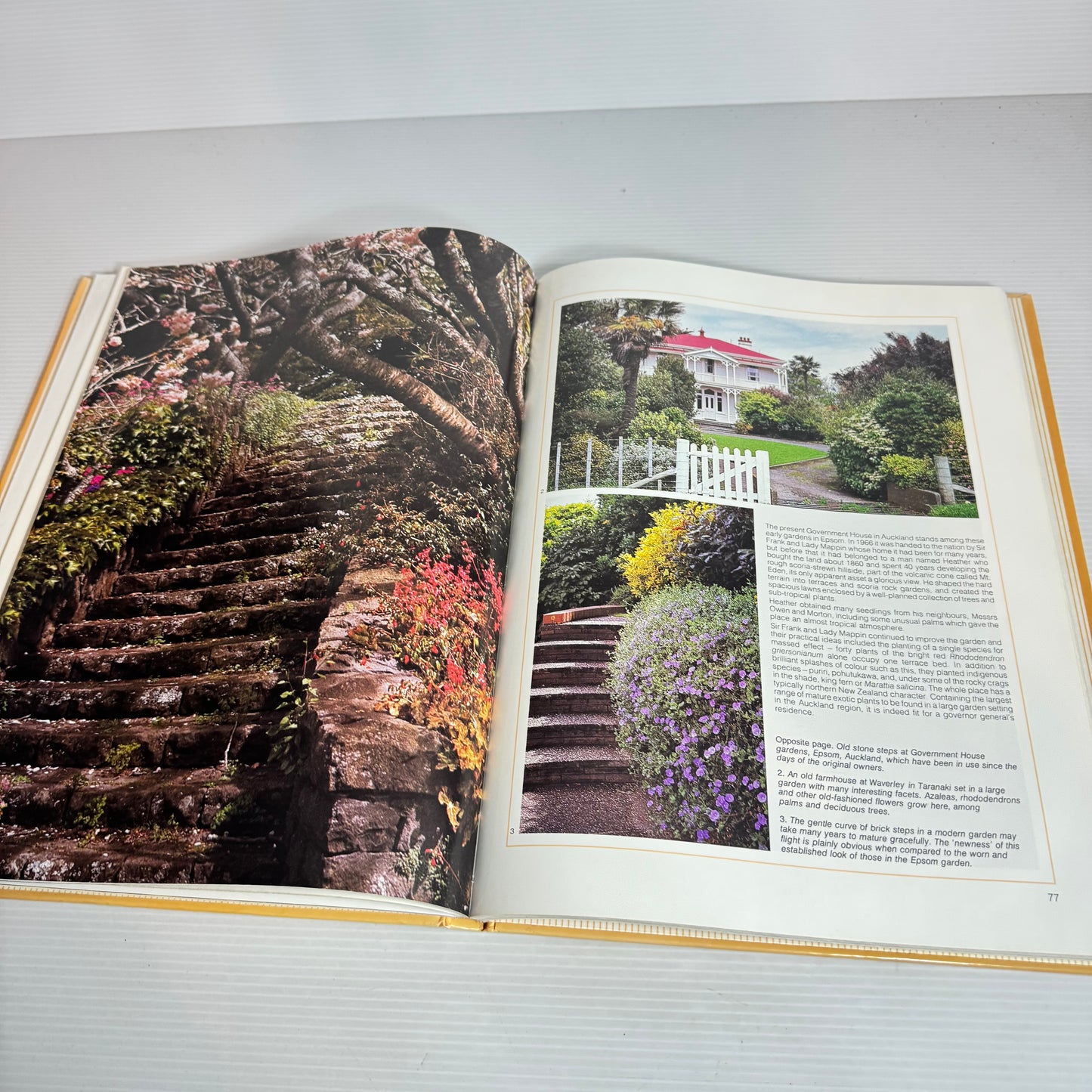 Gardens of New Zealand - Barbara Matthews