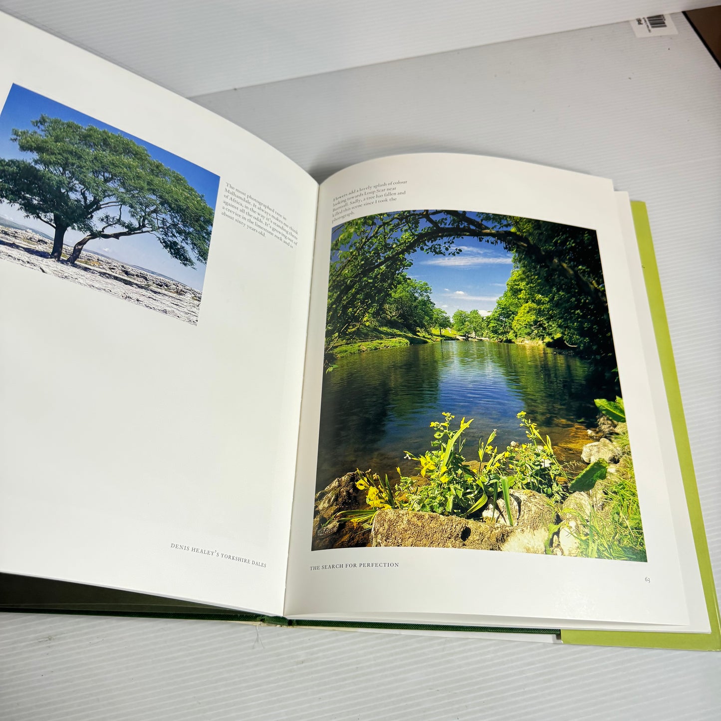 Denis Healey's Yorkshire Dales : A Celebration of the Yorkshire Dales Landscape