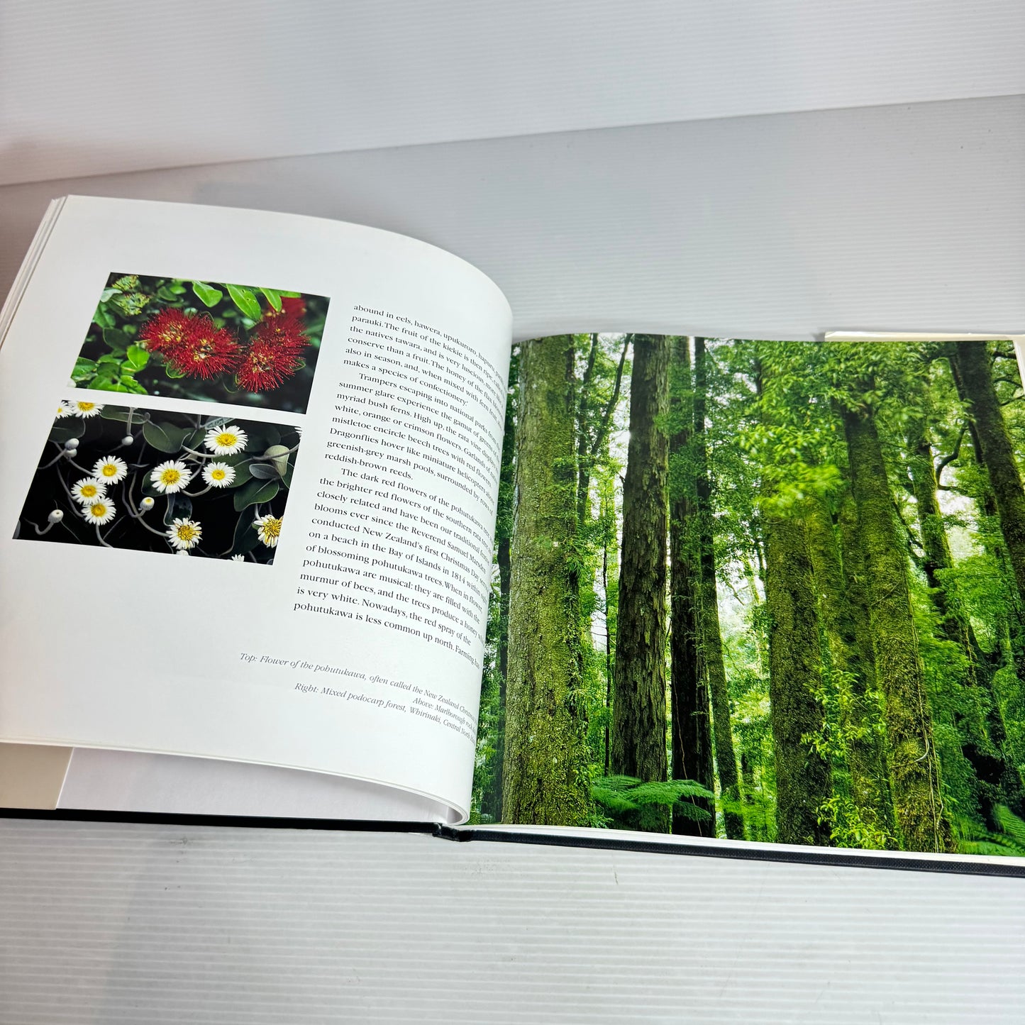Seasons : The New Zealand Year - Photographs by Craig Potton Text by David Eggleton