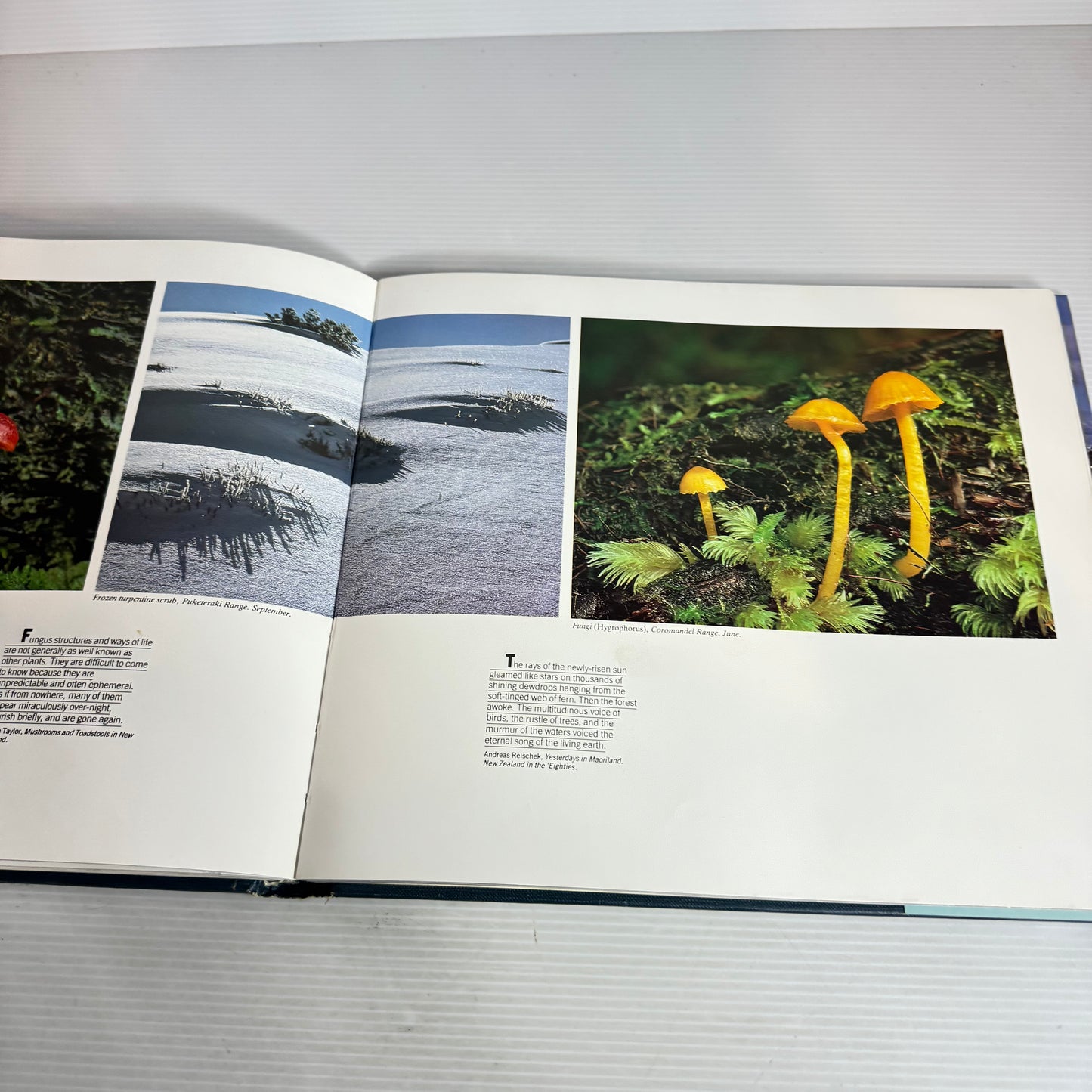 New Zealand High Country Four Seasons - Gordon Roberts & Brian Turner
