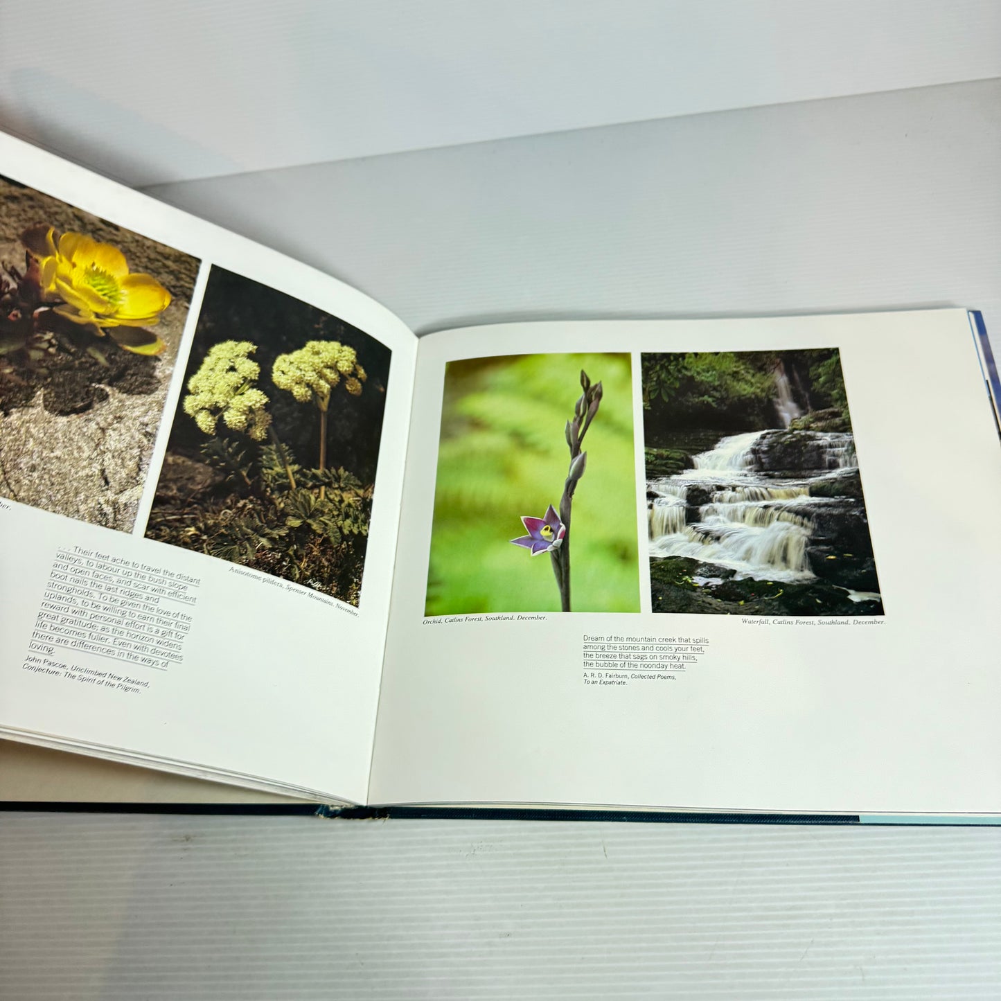 New Zealand High Country Four Seasons - Gordon Roberts & Brian Turner