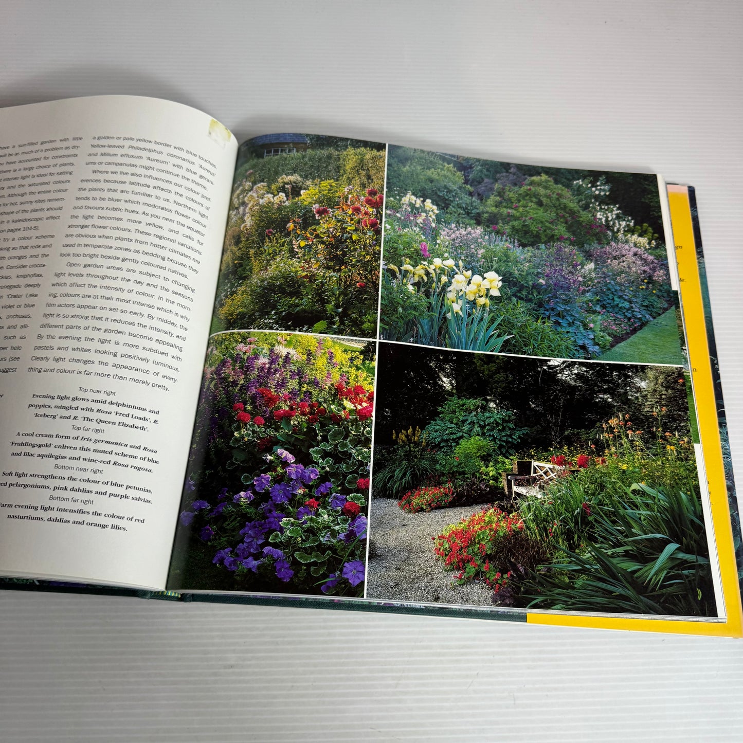 Planting Companions : Winning Plant Combinations for Every Garden - Planting Companions