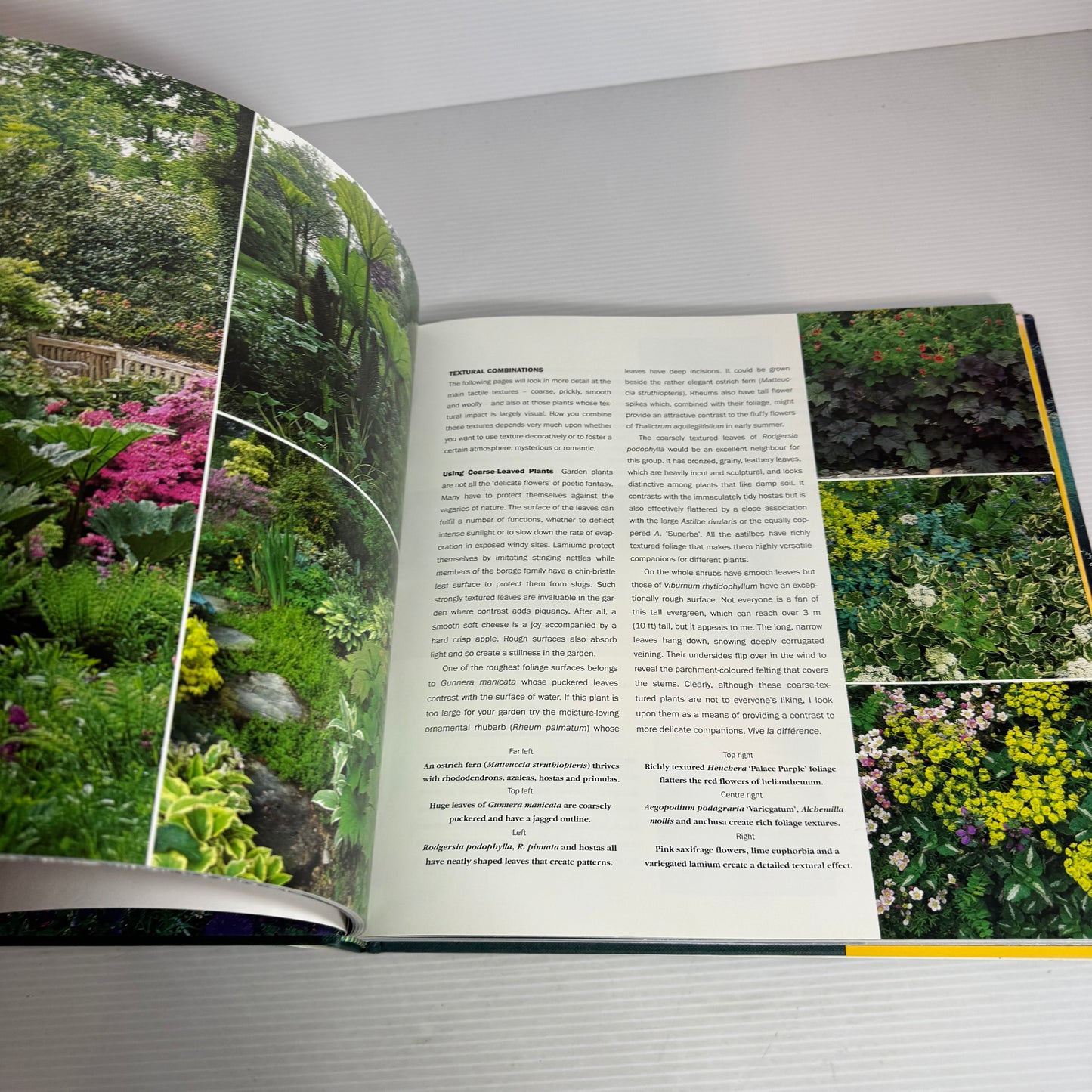 Planting Companions : Winning Plant Combinations for Every Garden - Planting Companions