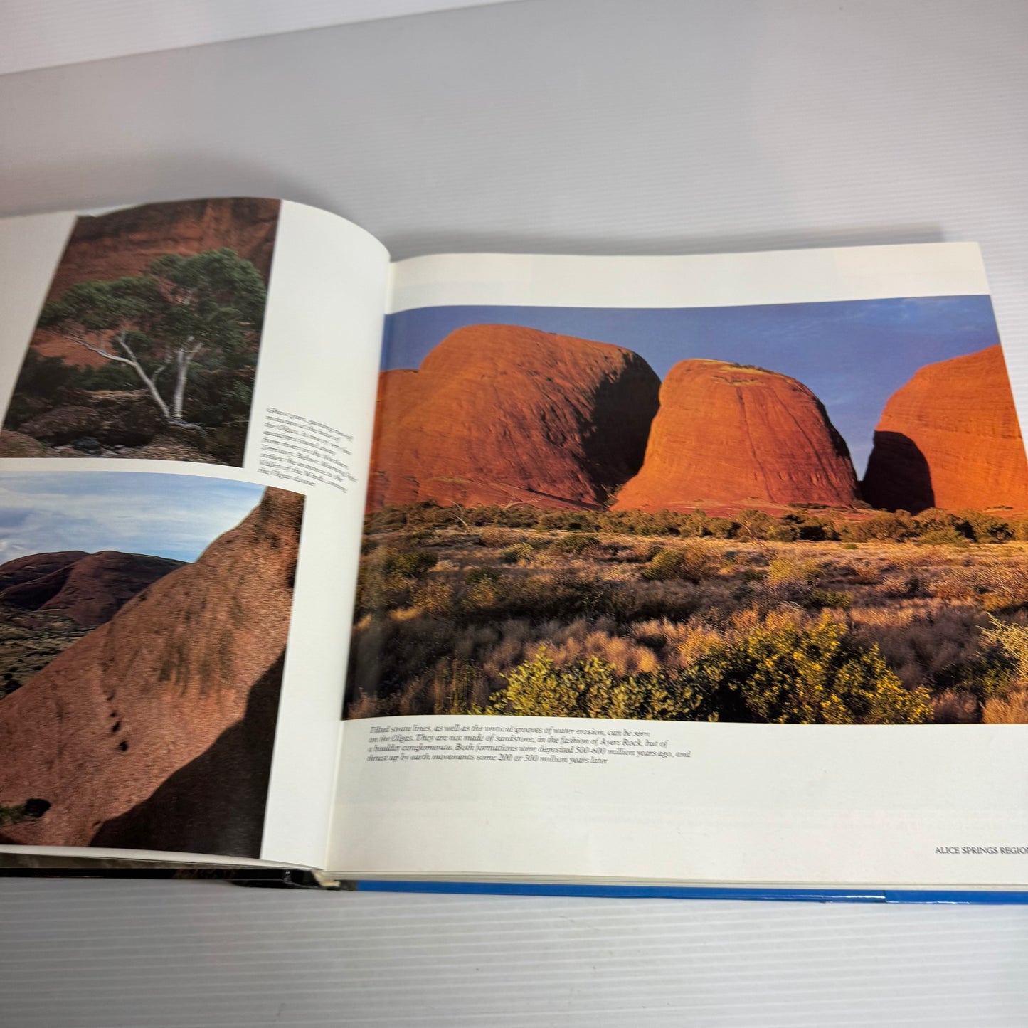Reader's Digest Wild Australia : A Recreational Guide to All Our National Parks