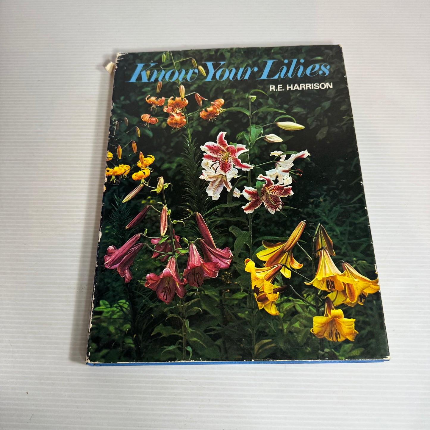 Know Your Lilies - R.E. Harrison (Vintage 1971)