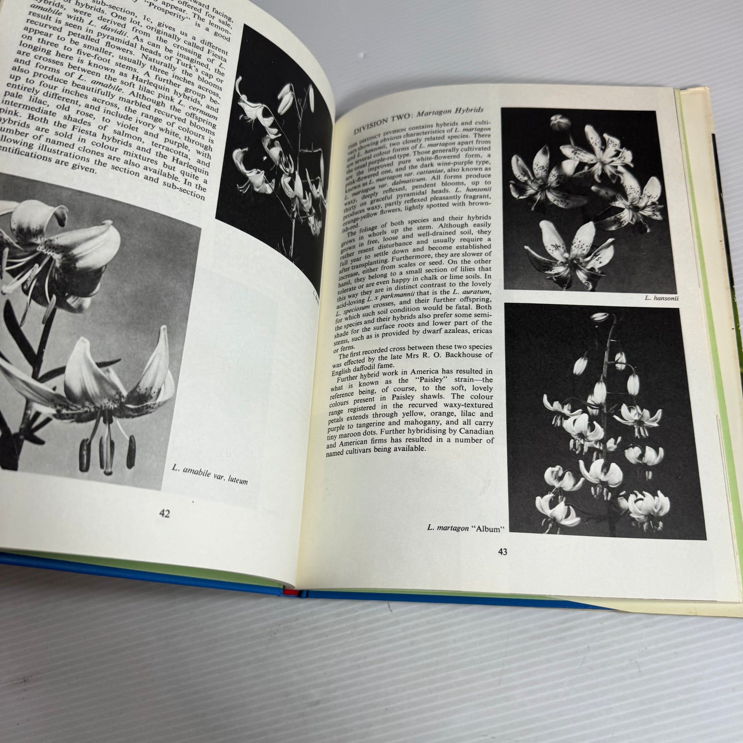 Know Your Lilies - R.E. Harrison (Vintage 1971)