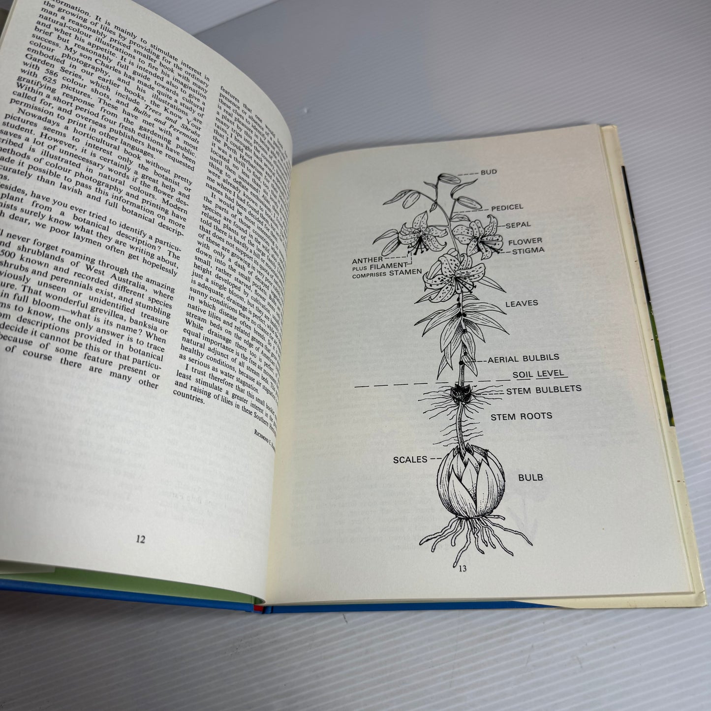Know Your Lilies - R.E. Harrison (Vintage 1971)