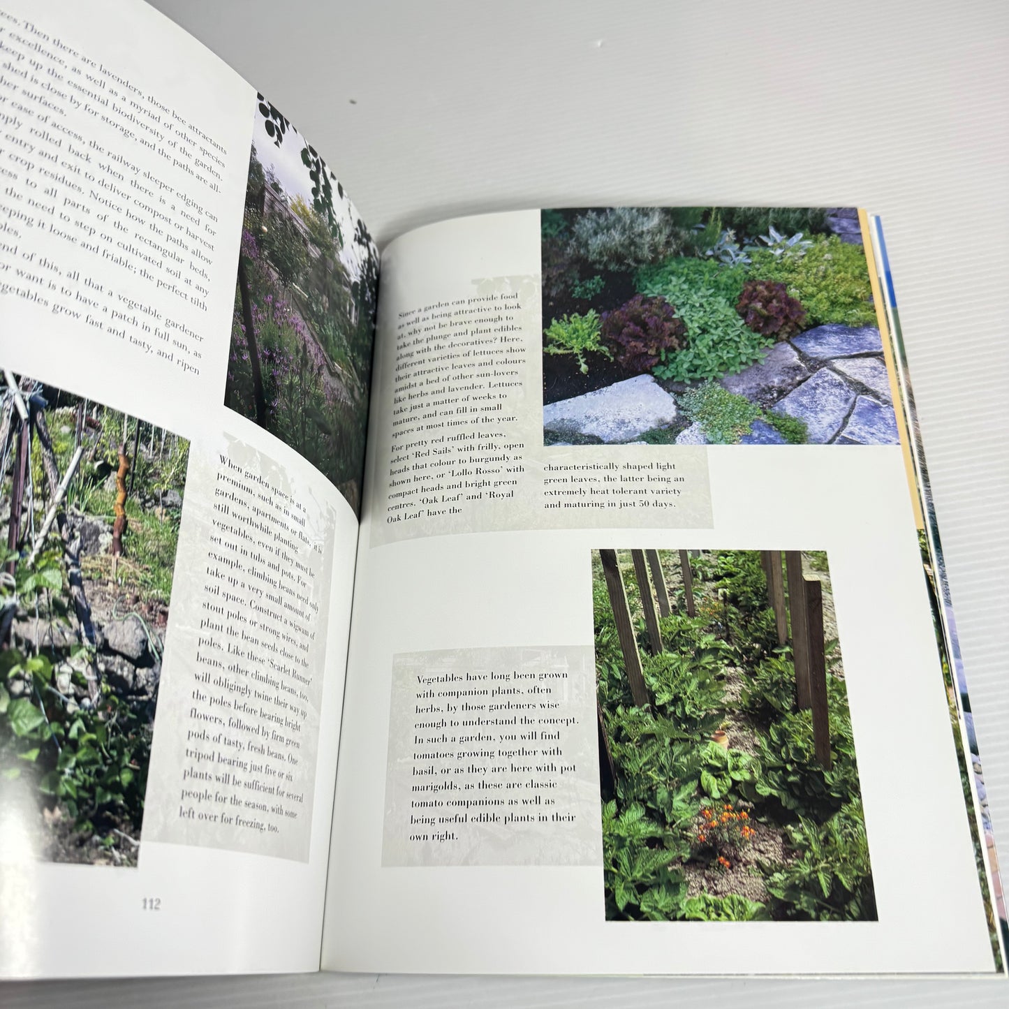 Creative Gardening New Zealand - Janet Cheriton