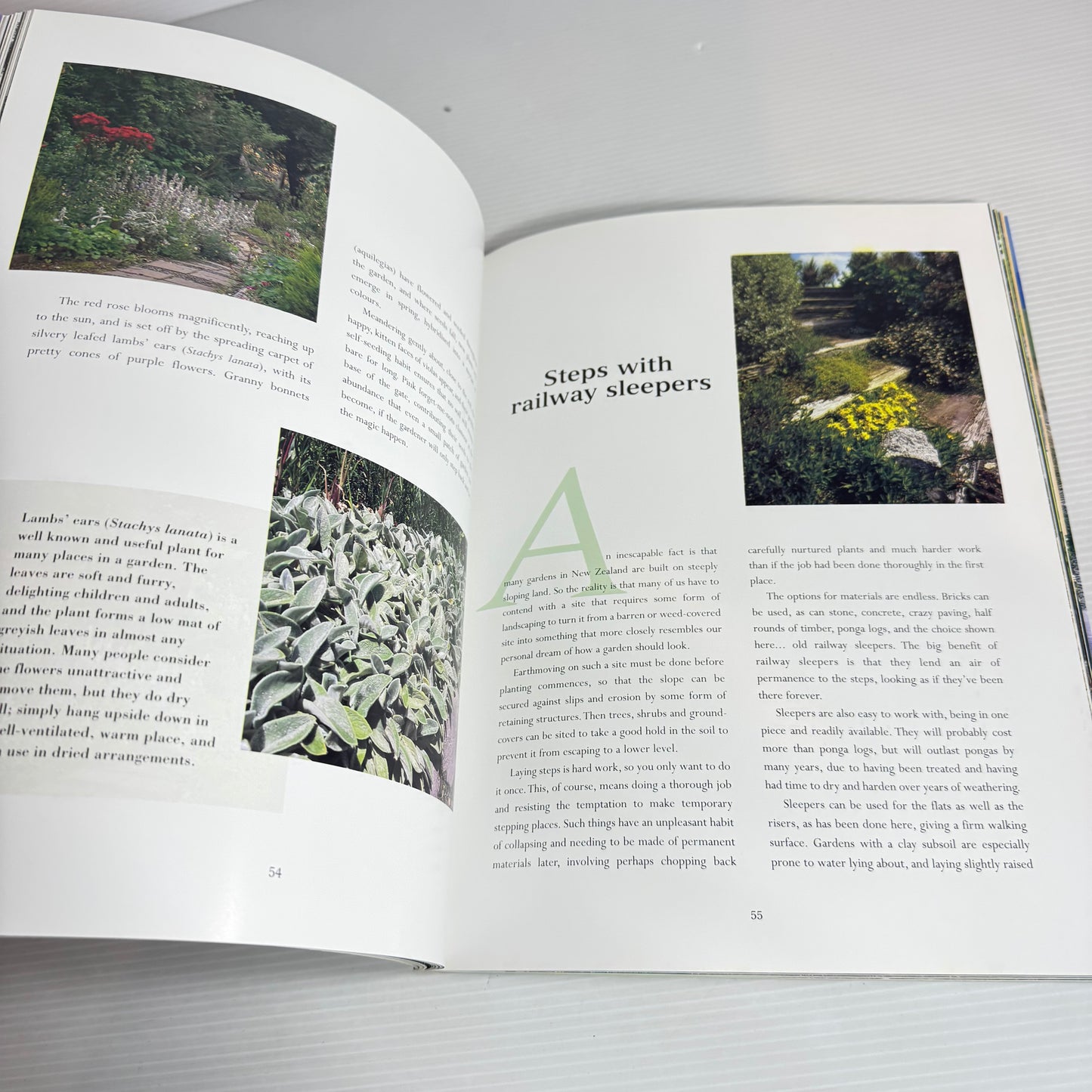 Creative Gardening New Zealand - Janet Cheriton