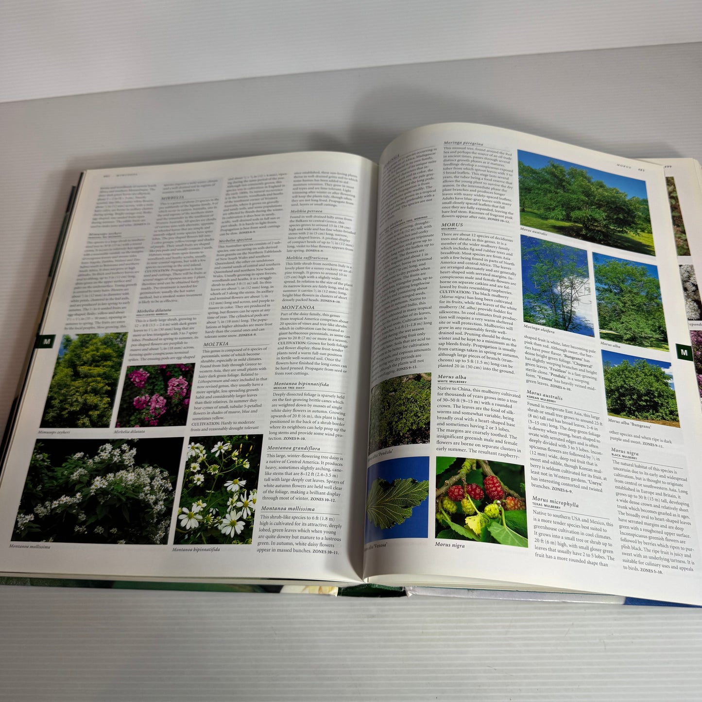 Botanica's Trees & Shrubs : Illustrated A-Z of Over 8500 Plants