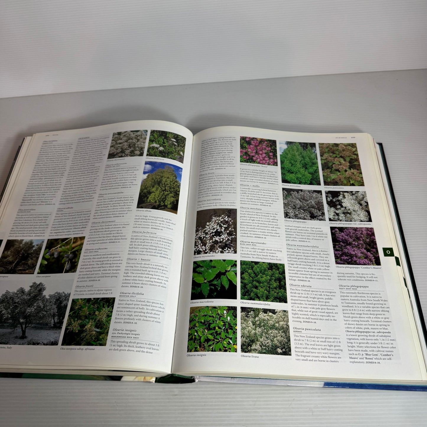 Botanica's Trees & Shrubs : Illustrated A-Z of Over 8500 Plants