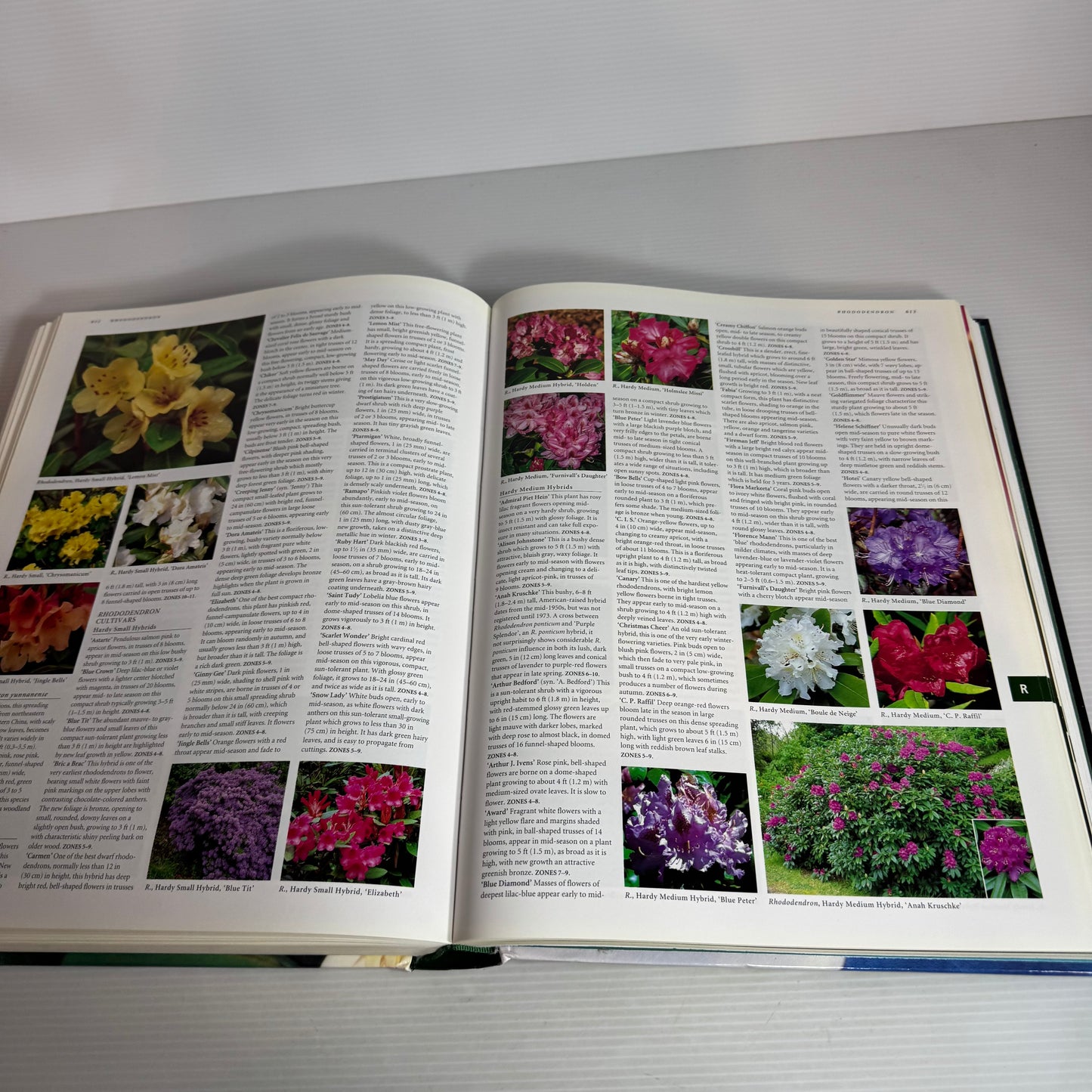 Botanica's Trees & Shrubs : Illustrated A-Z of Over 8500 Plants
