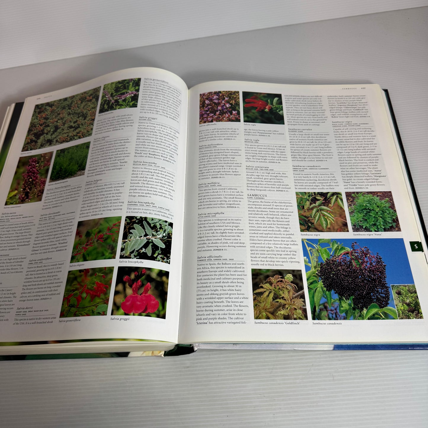 Botanica's Trees & Shrubs : Illustrated A-Z of Over 8500 Plants