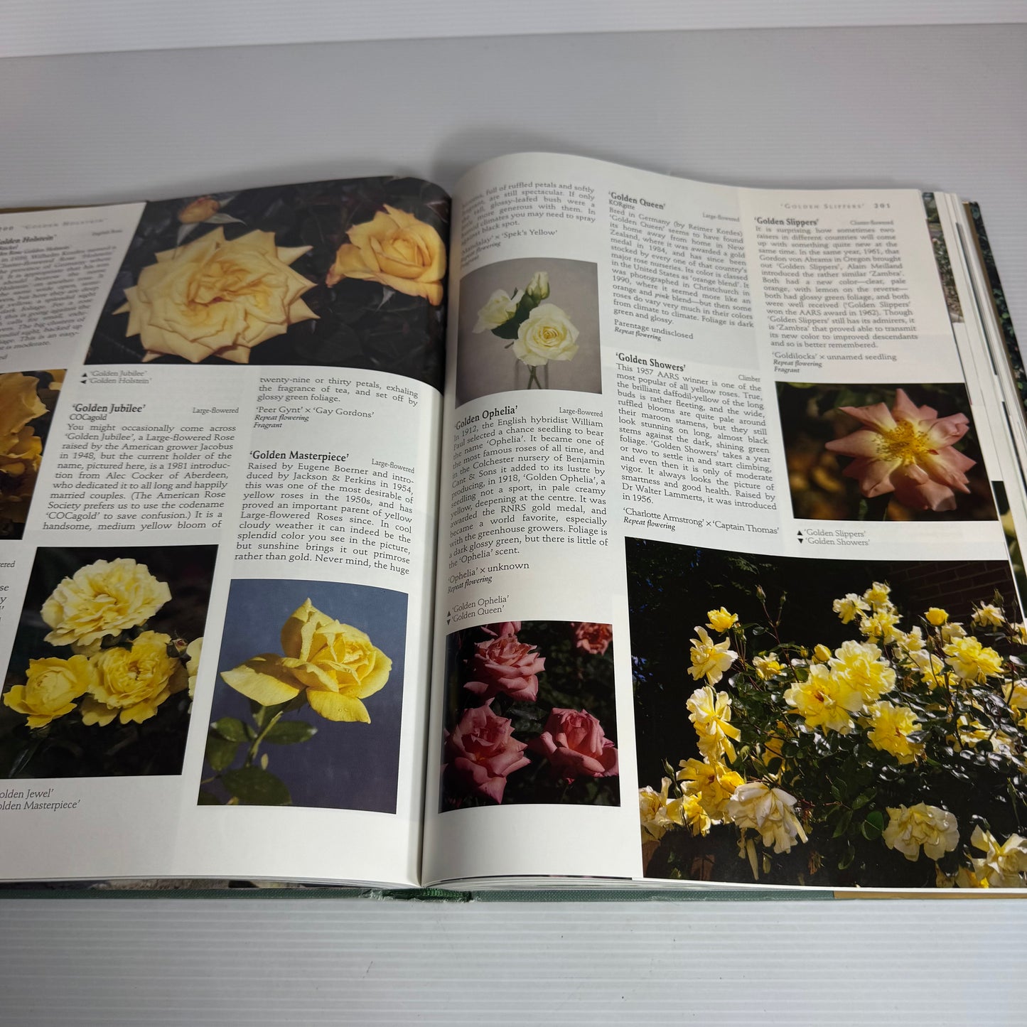 The World of Roses : An Illustrated Guide - Stirling Macoboy