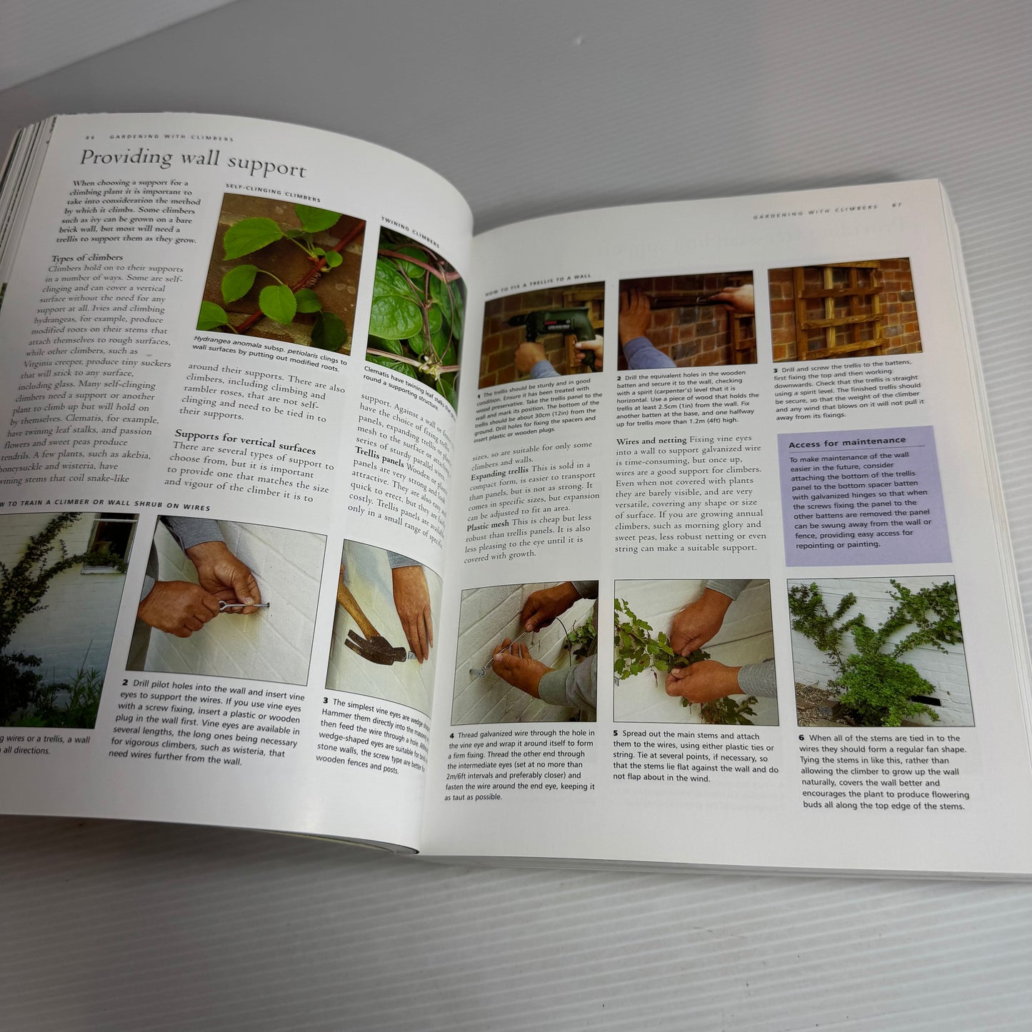 An Encyclopaedia of Garden Plants & Techniques - Andrew Mikolajski & Jonathan Edwards