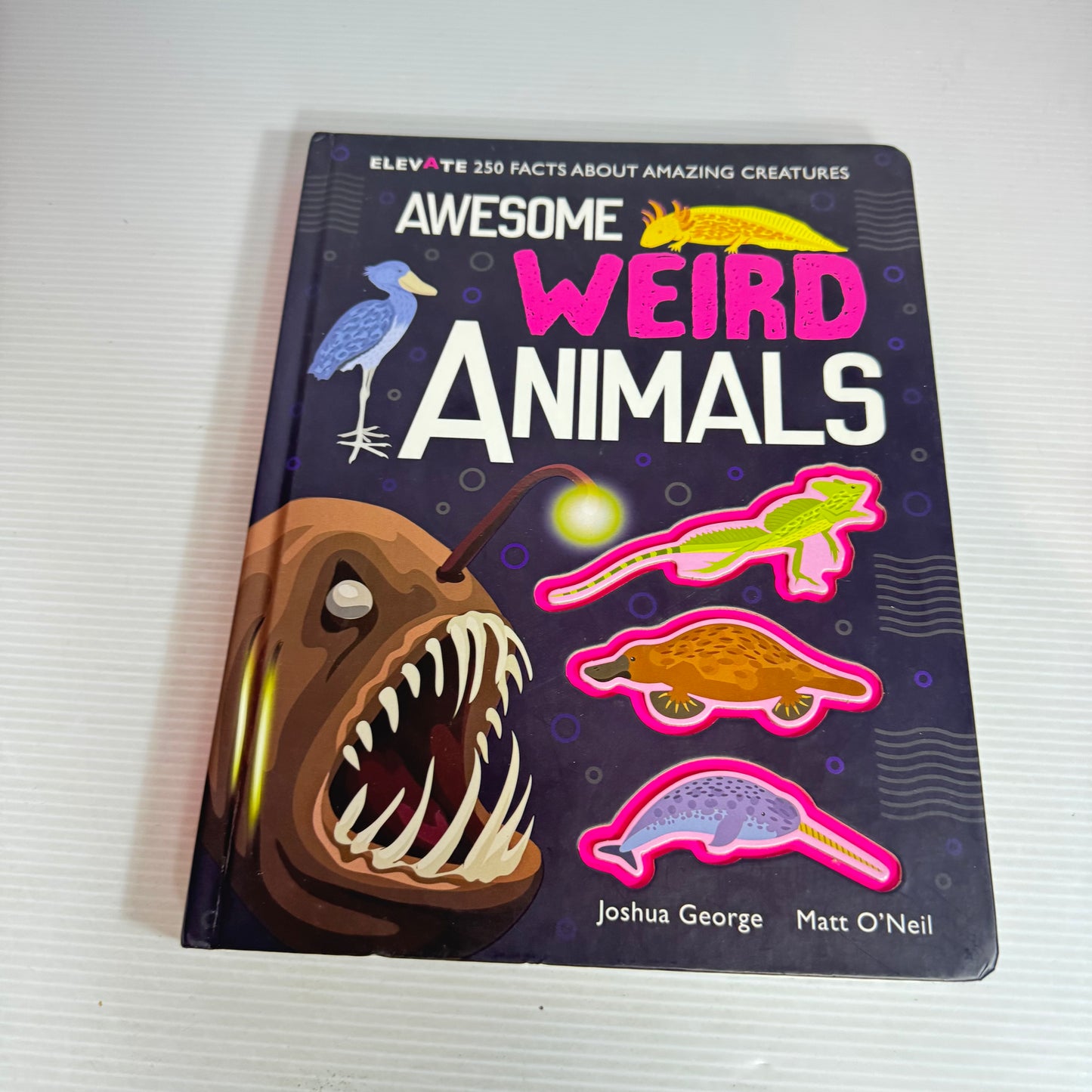 Awesome Weird Animals - Joshua George & Matt O'Neil