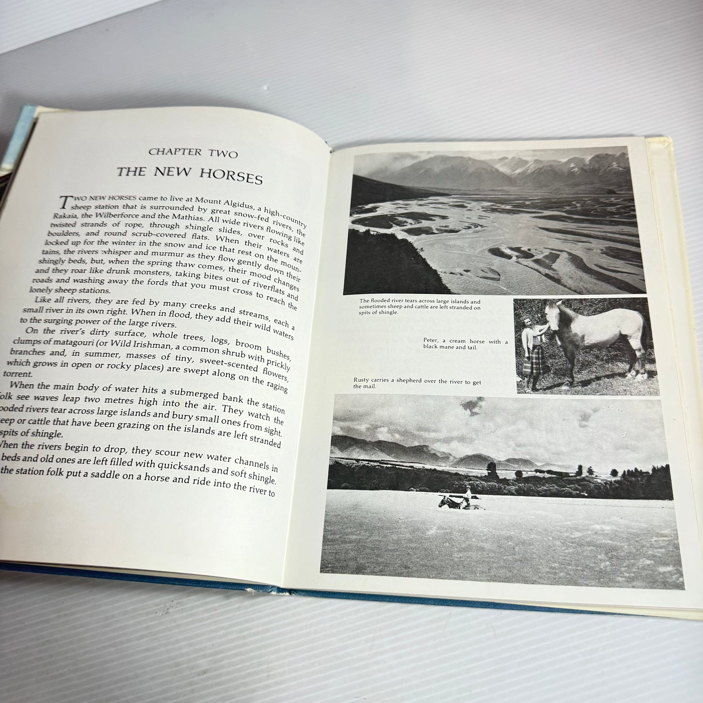 Old Duke : The Story of a Hard-case Horse - Mona Anderson (Vintage 1977 First Edition)