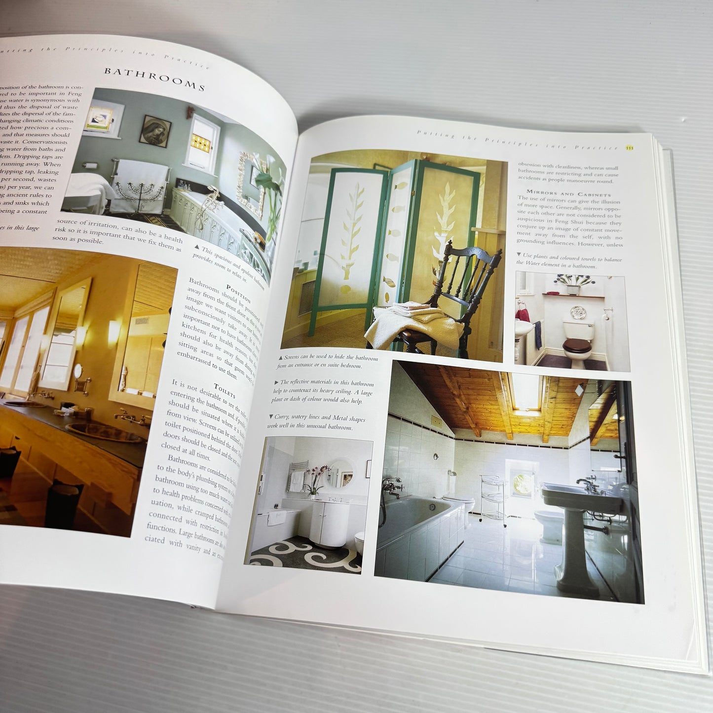 The Practical Encyclopaedia of Feng Shui - Gill Hale
