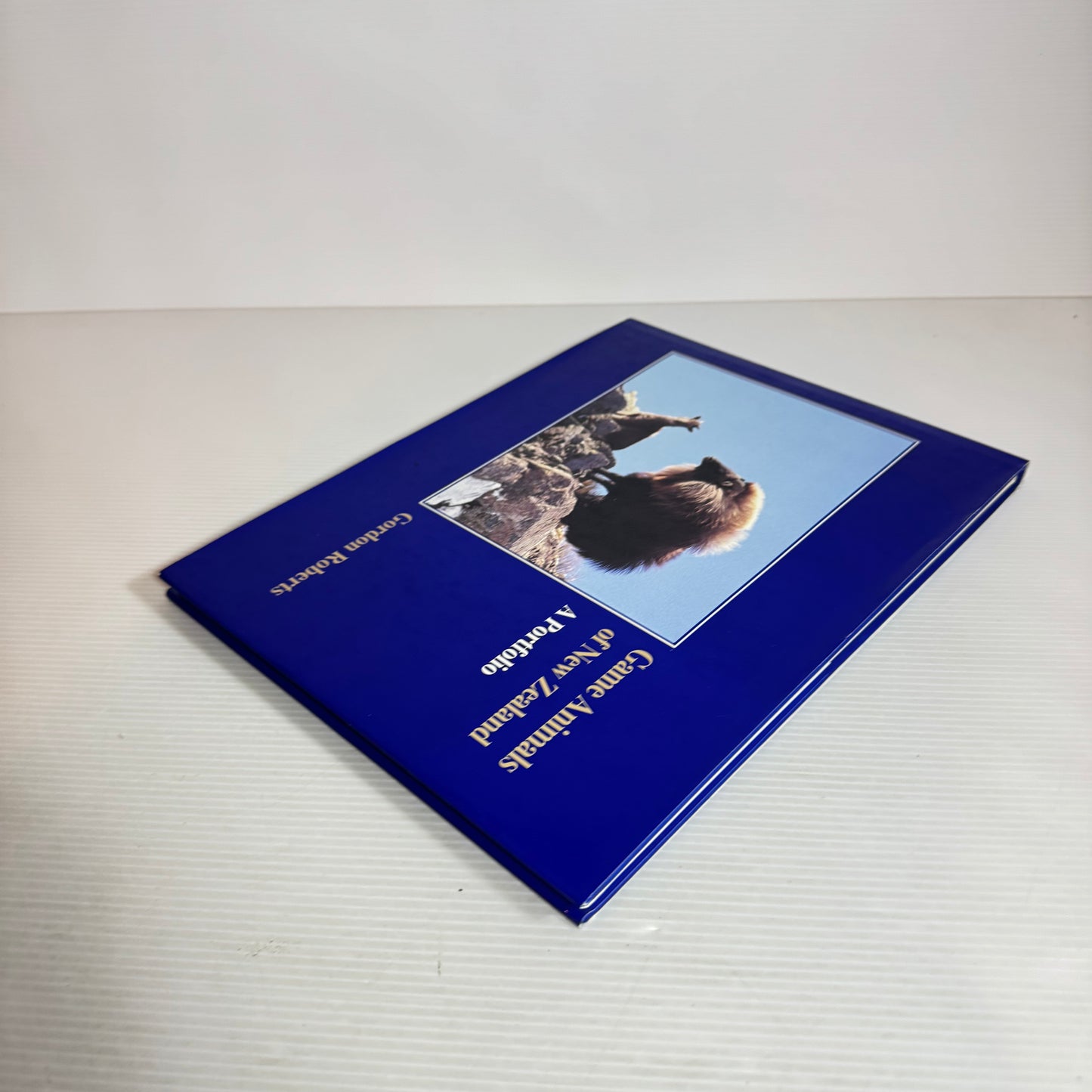 Game Animals of New Zealand : A Portfolio - Gordon Roberts