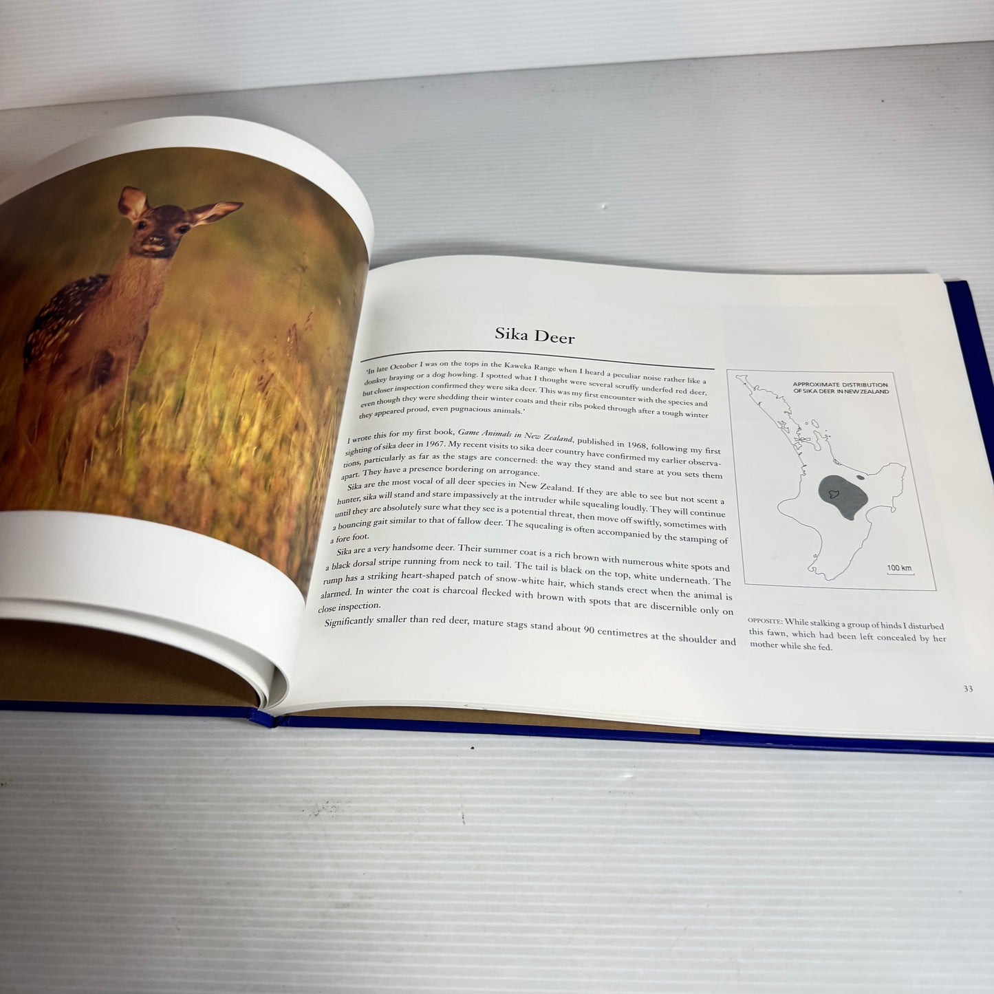 Game Animals of New Zealand : A Portfolio - Gordon Roberts