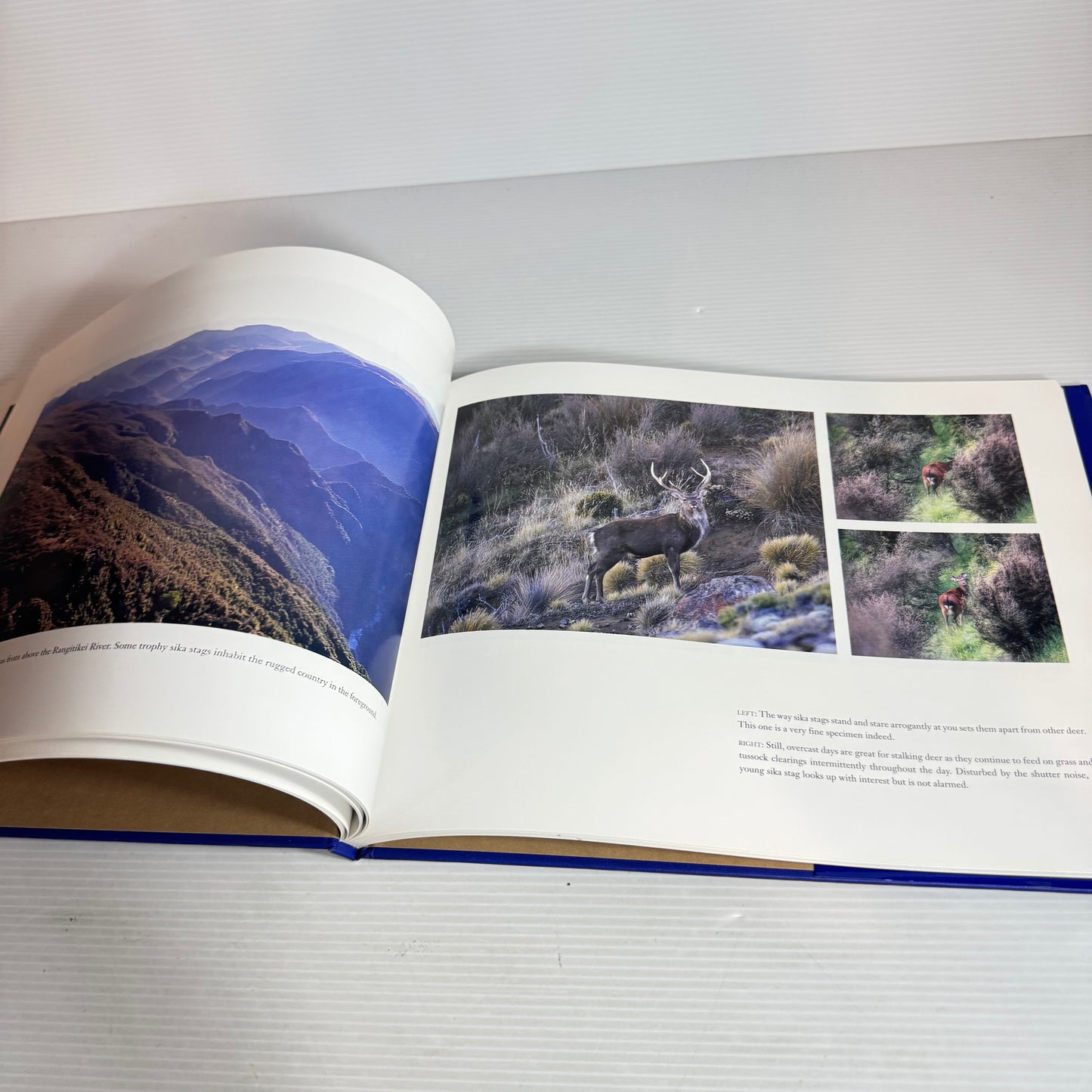 Game Animals of New Zealand : A Portfolio - Gordon Roberts