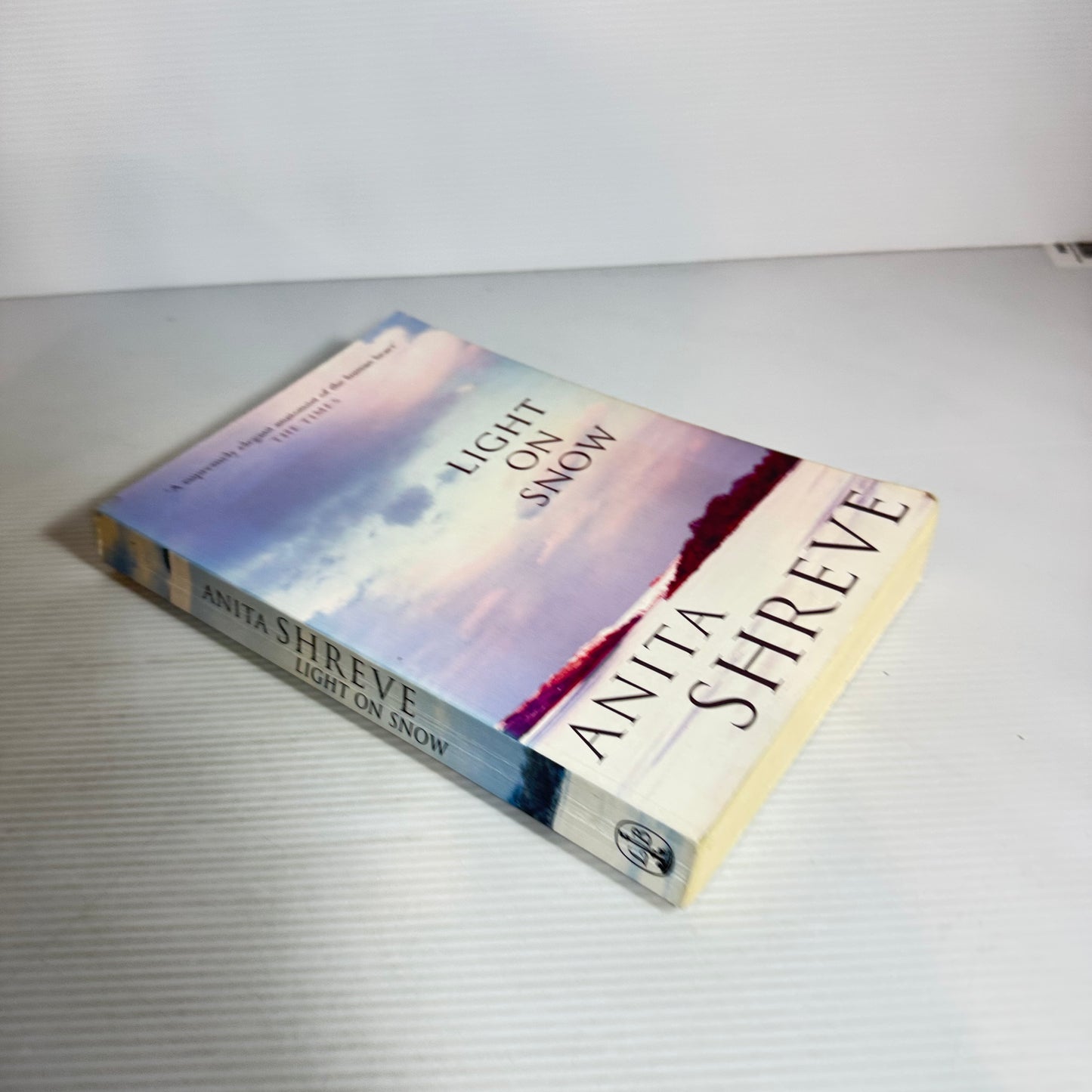 Light On Snow - Anita Shreve