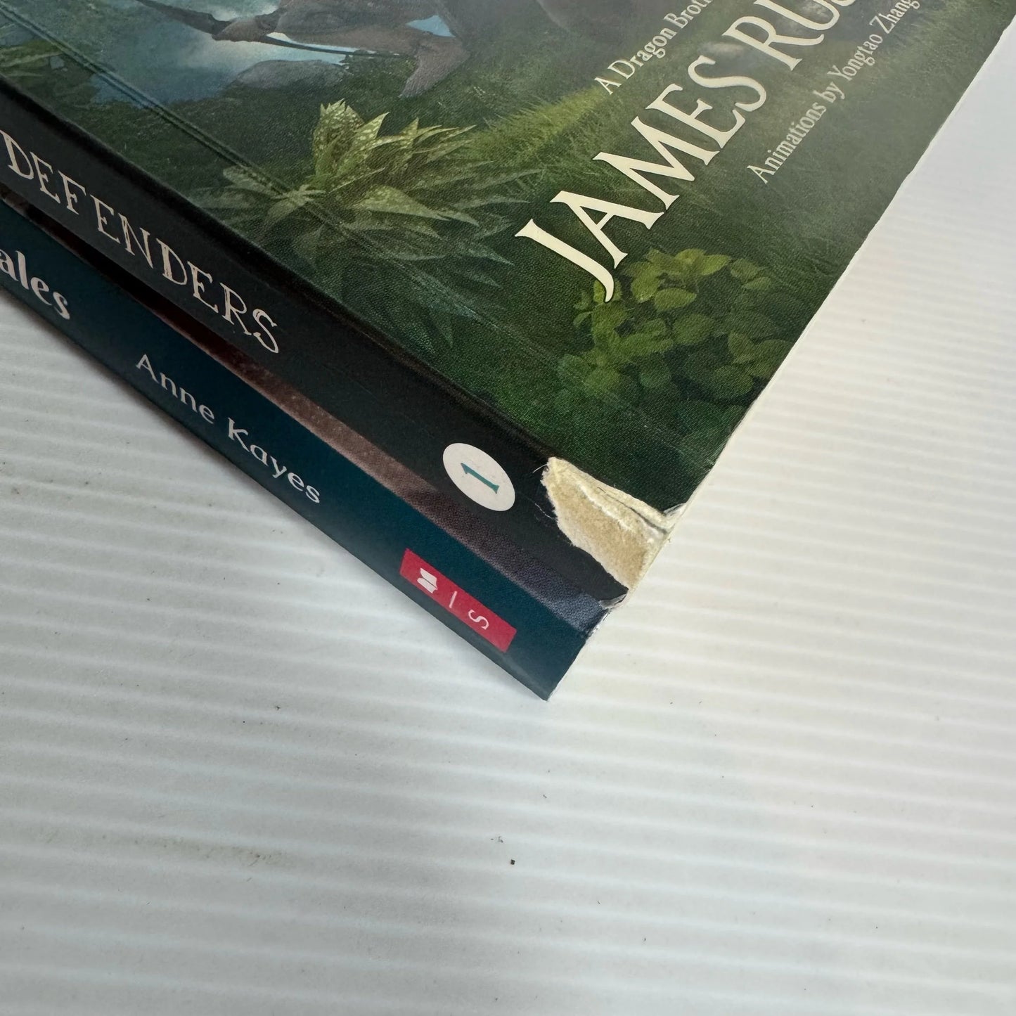 Children's Fantasy Book Bundle x 2 : The Dragon Defenders - James Russell & Tui Street Tales - Anne Kayes(2331)