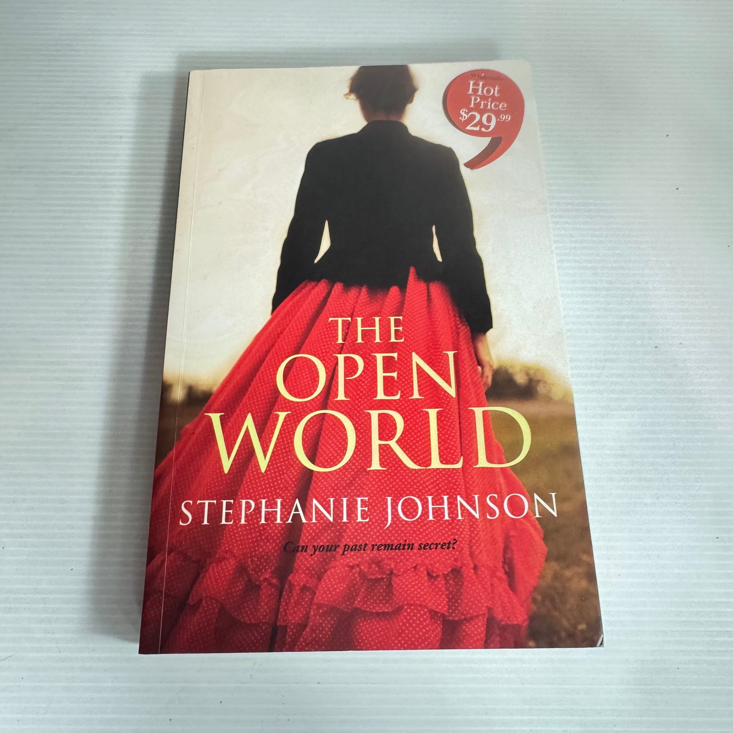 The Open World - Stephanie Johnson