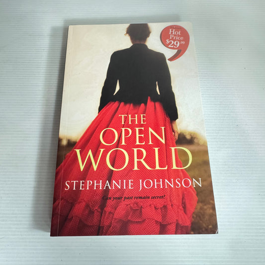 The Open World - Stephanie Johnson