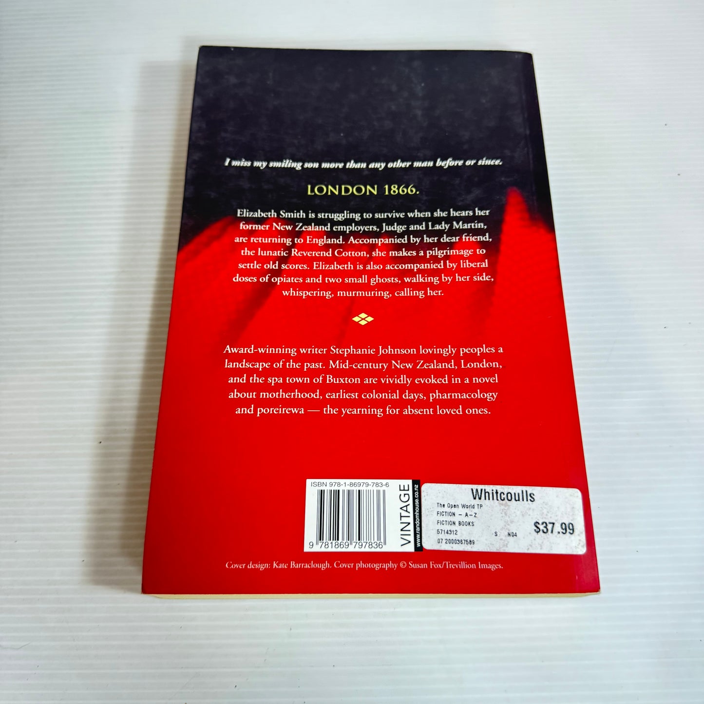 The Open World - Stephanie Johnson