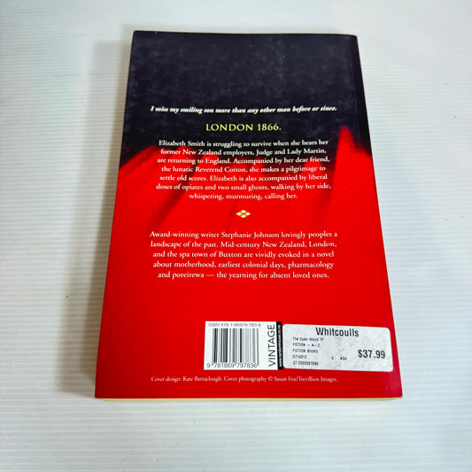 The Open World - Stephanie Johnson