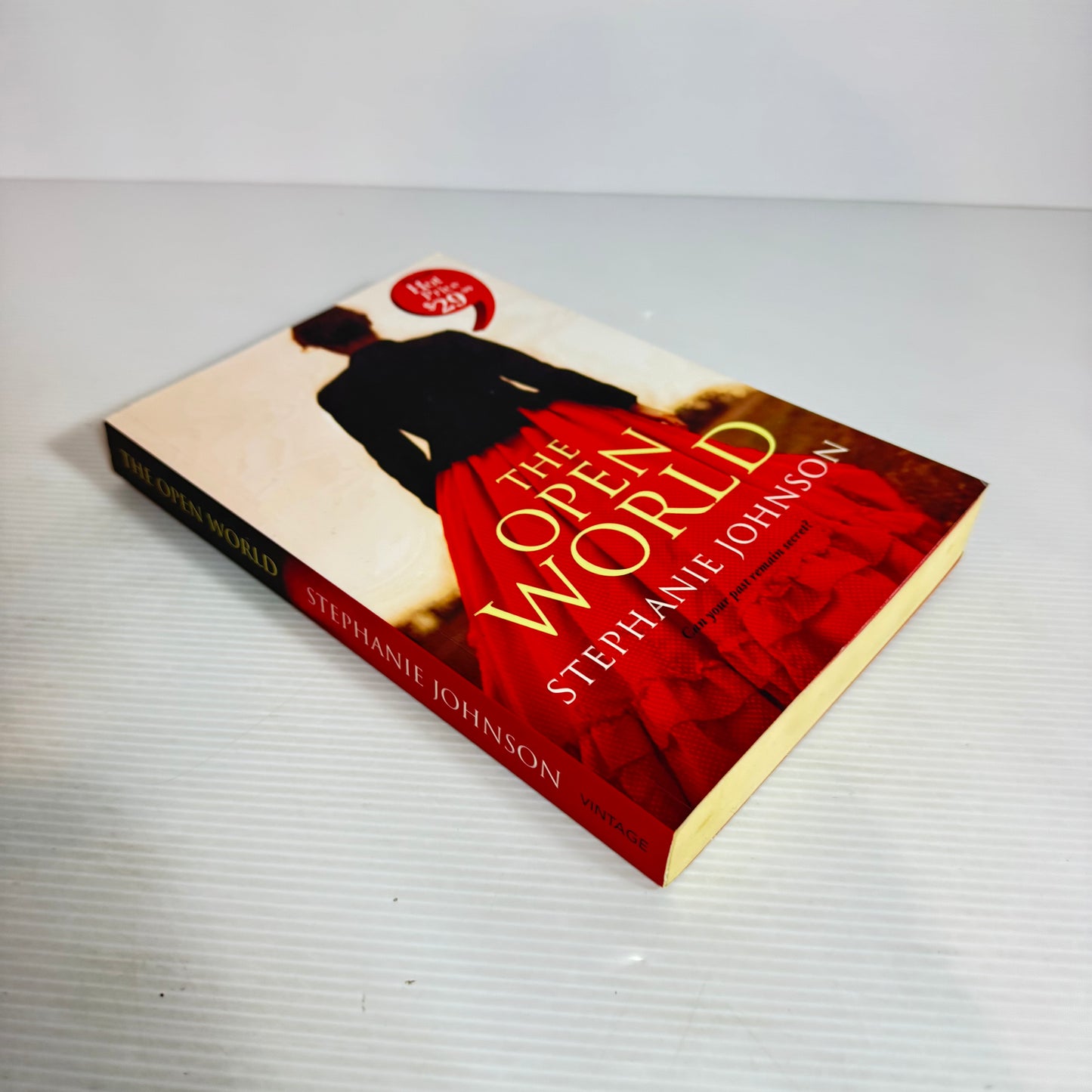 The Open World - Stephanie Johnson