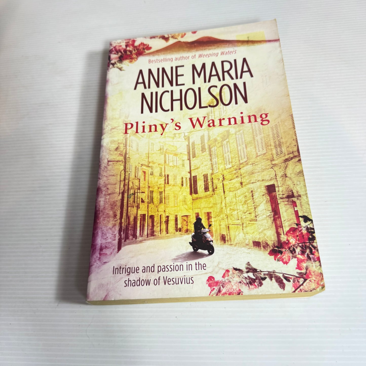 Pliny's Warning - Anne Maria Nicholson