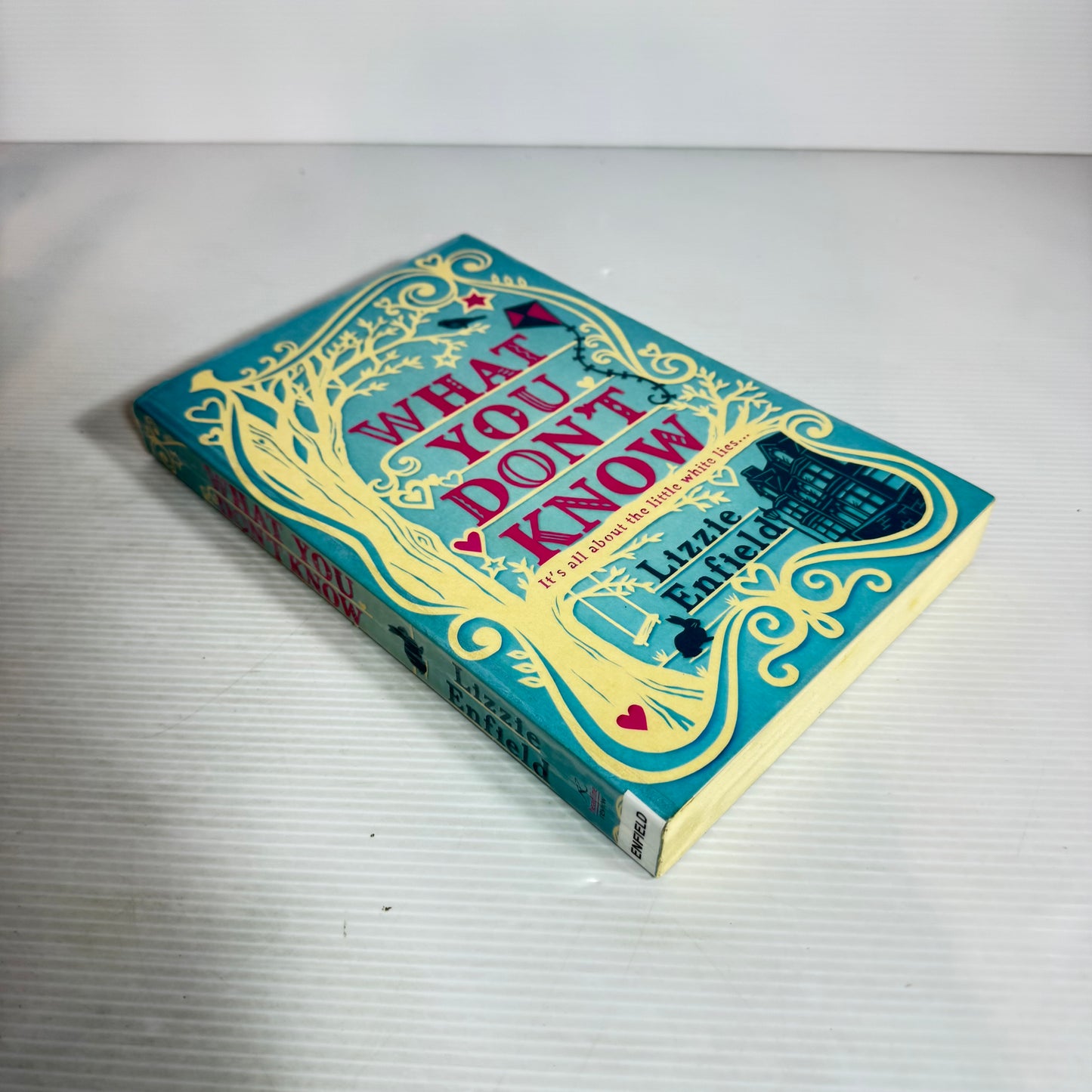 What You Don't Know - Lizzie Enfield