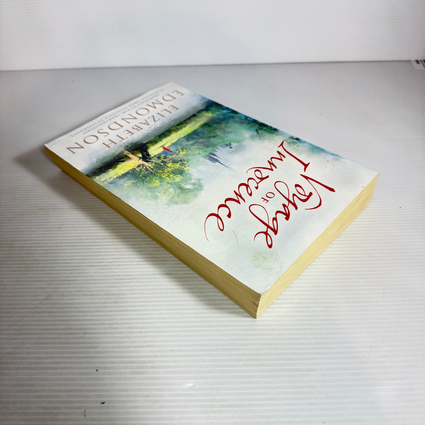 Voyage of Innocence - Elizabeth Edmondson