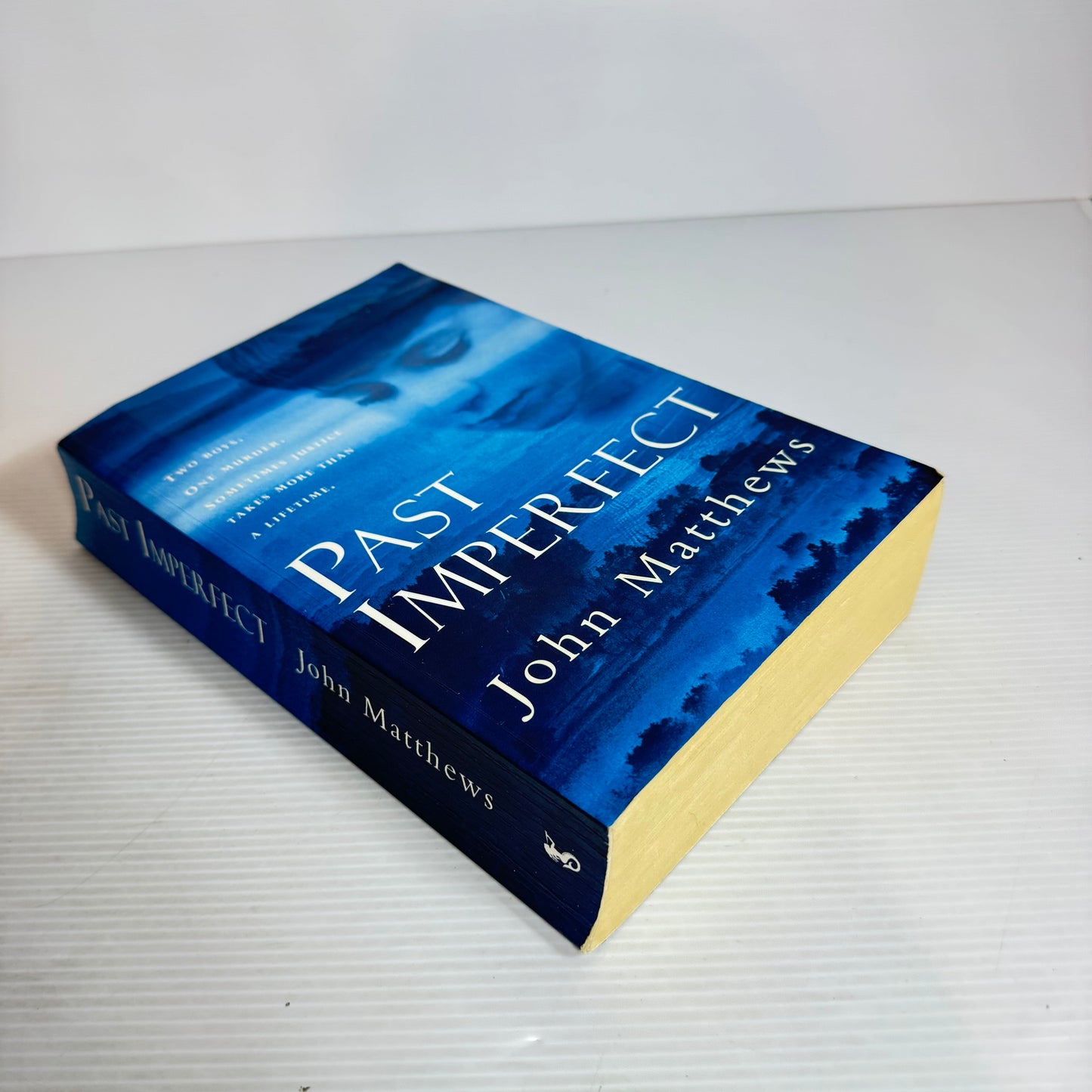 Past Imperfect - John Matthews