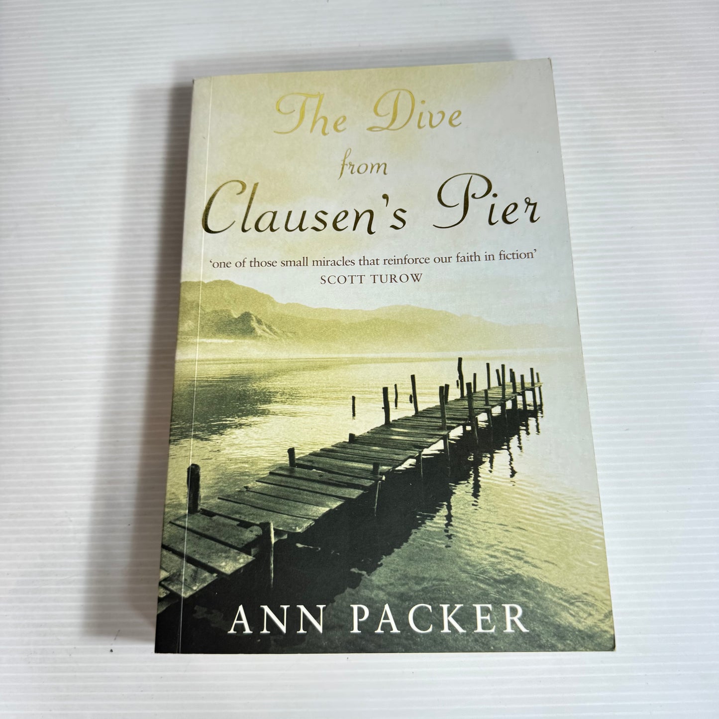 The Dive From Clausen's Pier - Ann Packer
