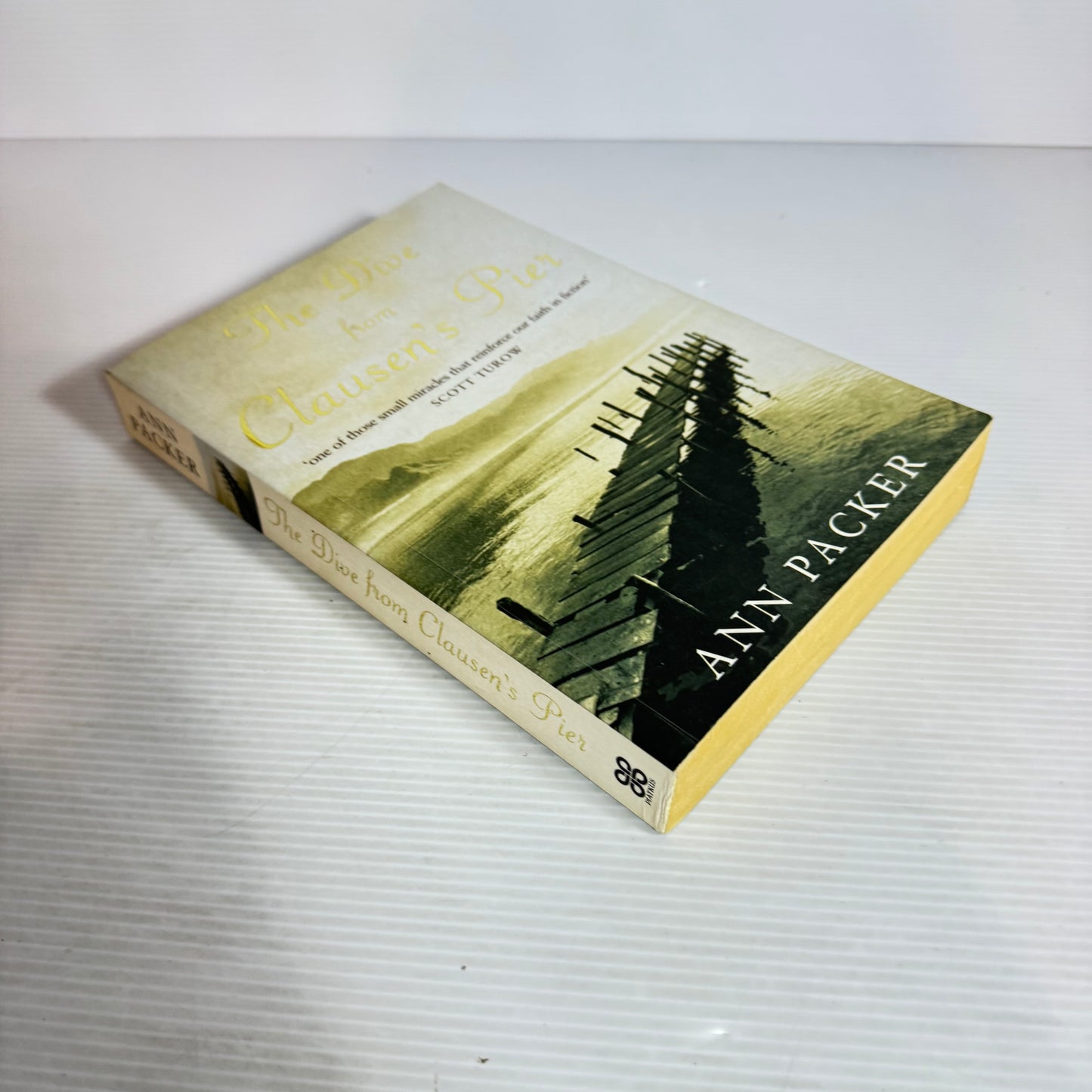 The Dive From Clausen's Pier - Ann Packer