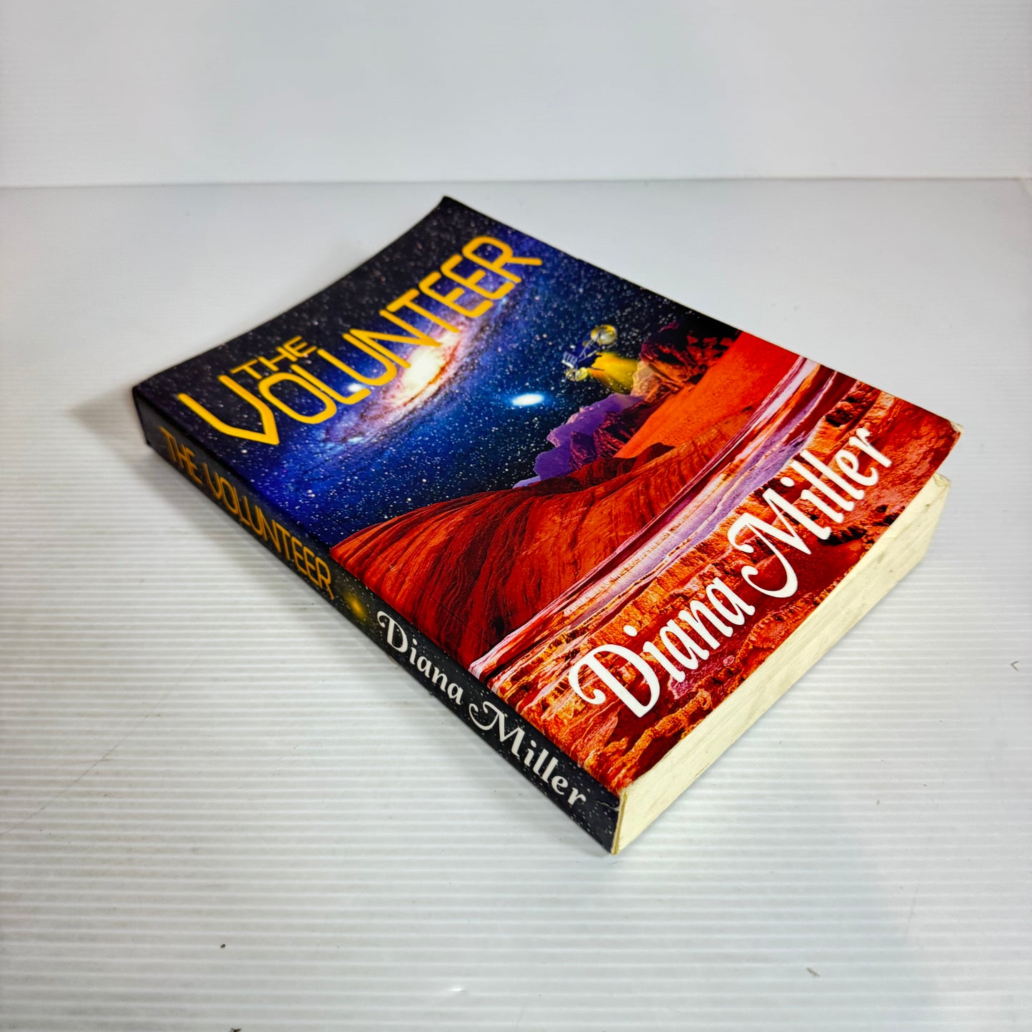 The Volunteer - Diana Miller