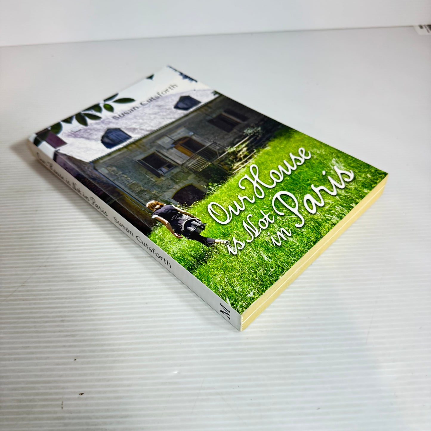 Our House Is Not In Paris - Susan Cutforth
