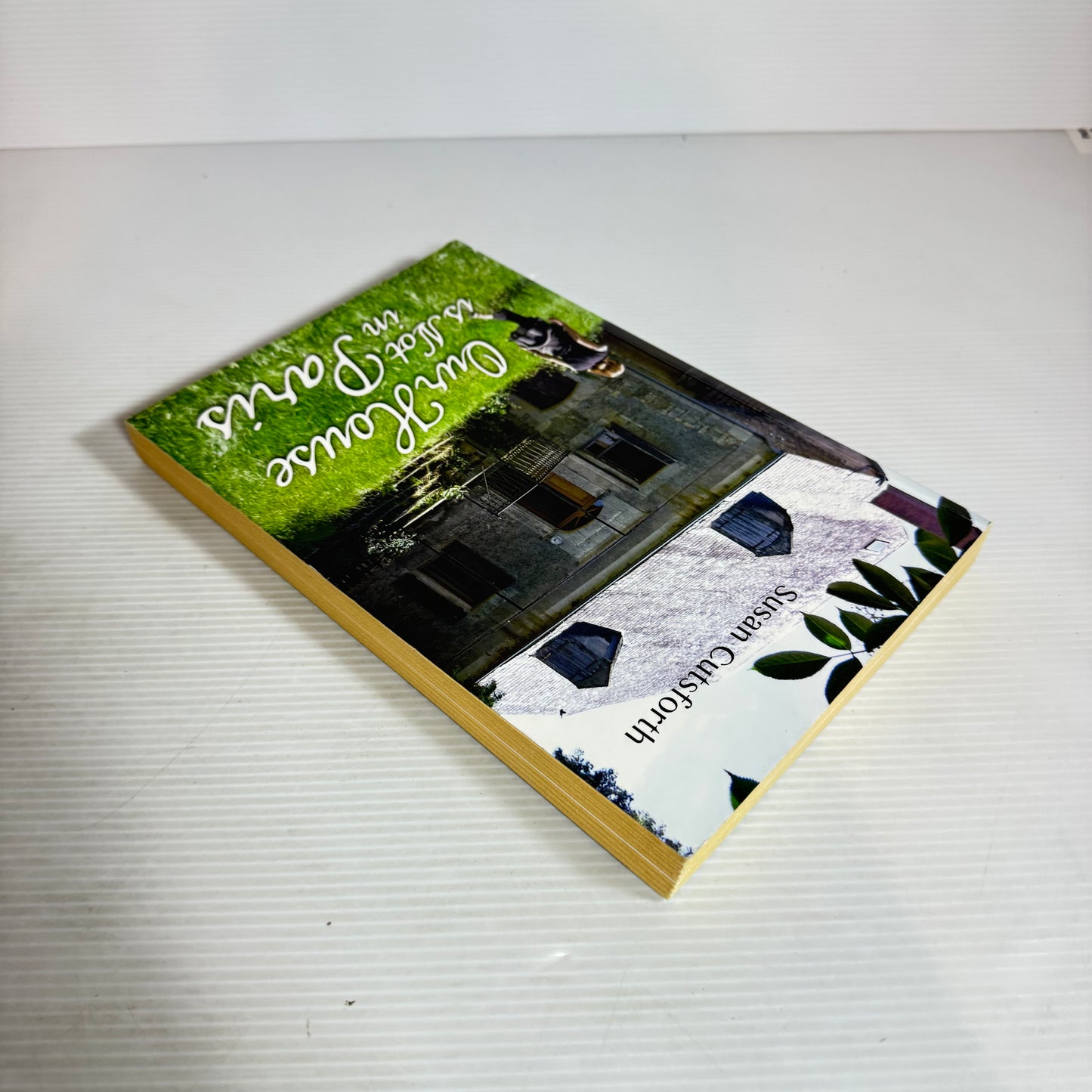 Our House Is Not In Paris - Susan Cutforth