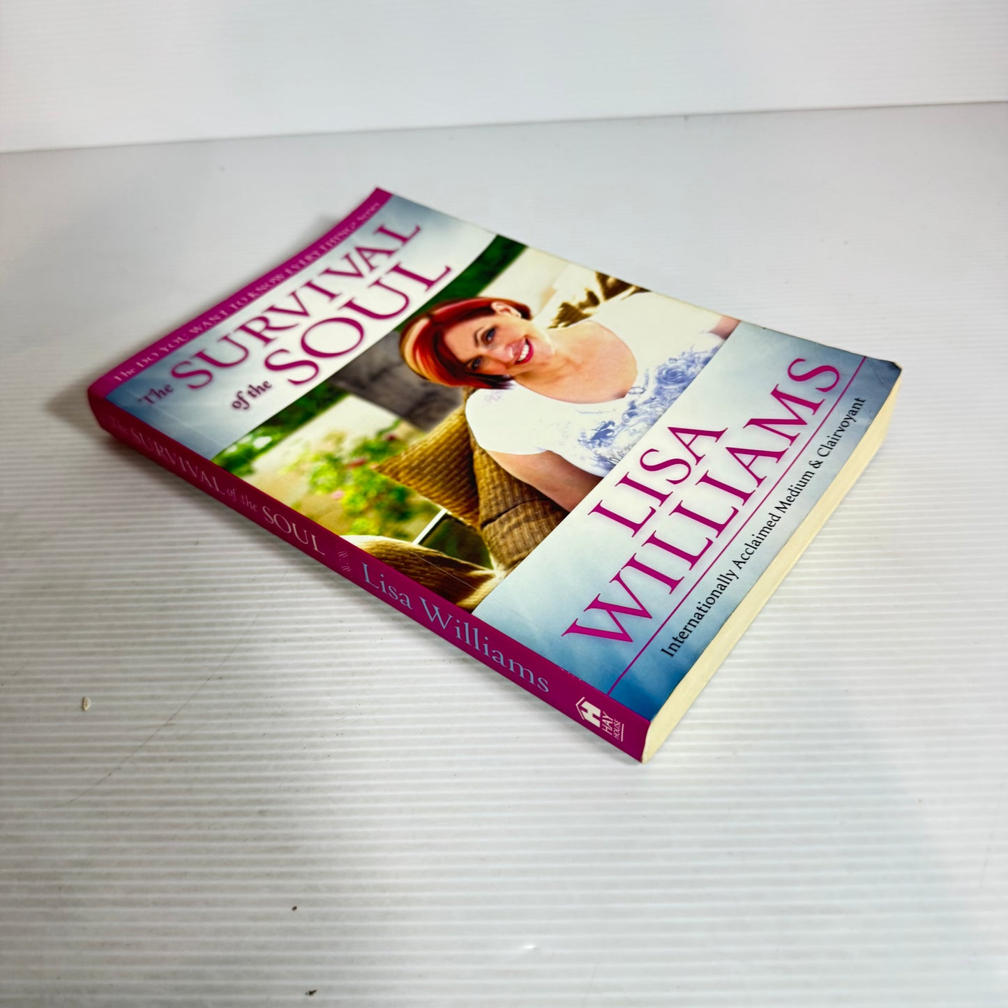 The Survival Of The Soul - Lisa Williams