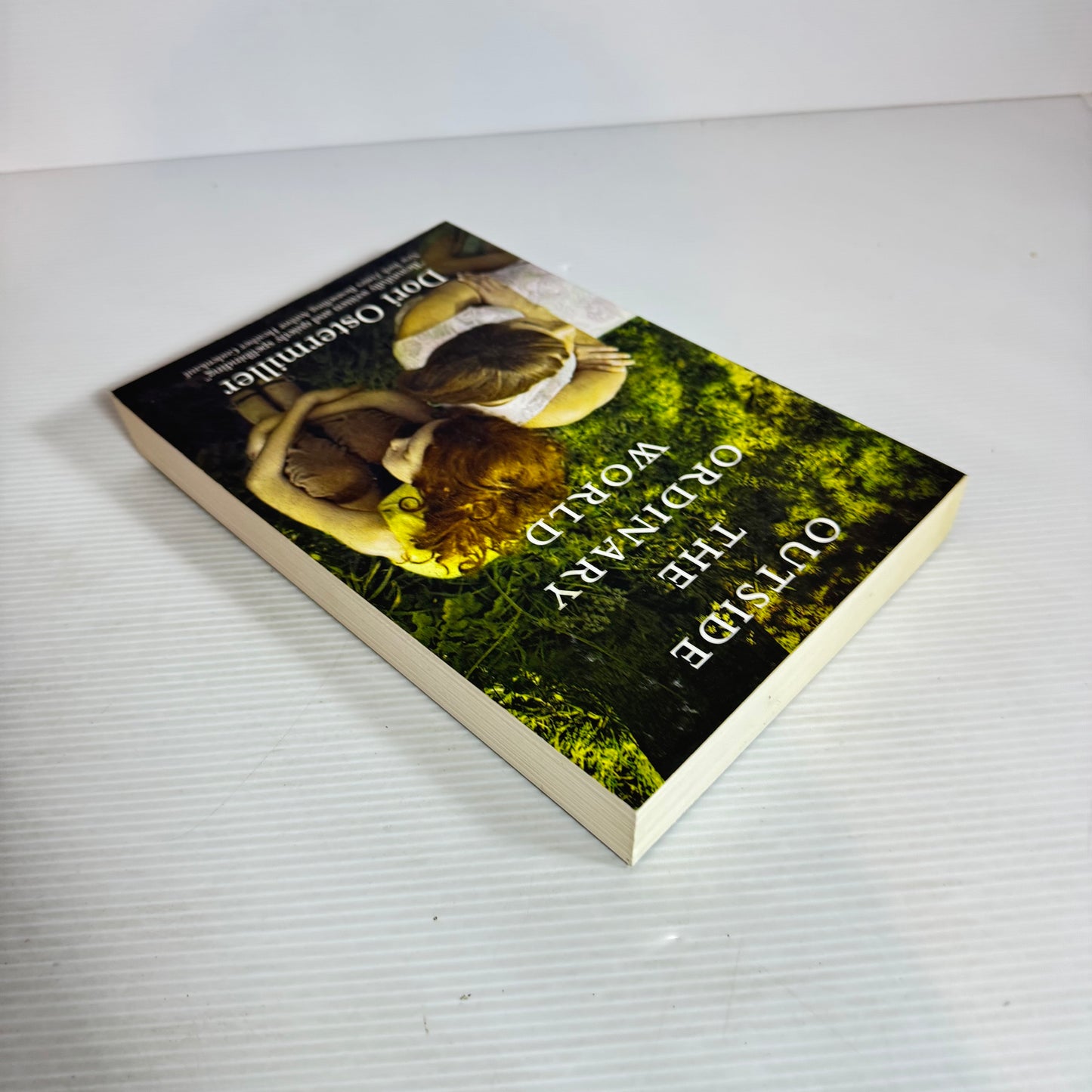 Outside the Ordinary World - Dori Ostermiller